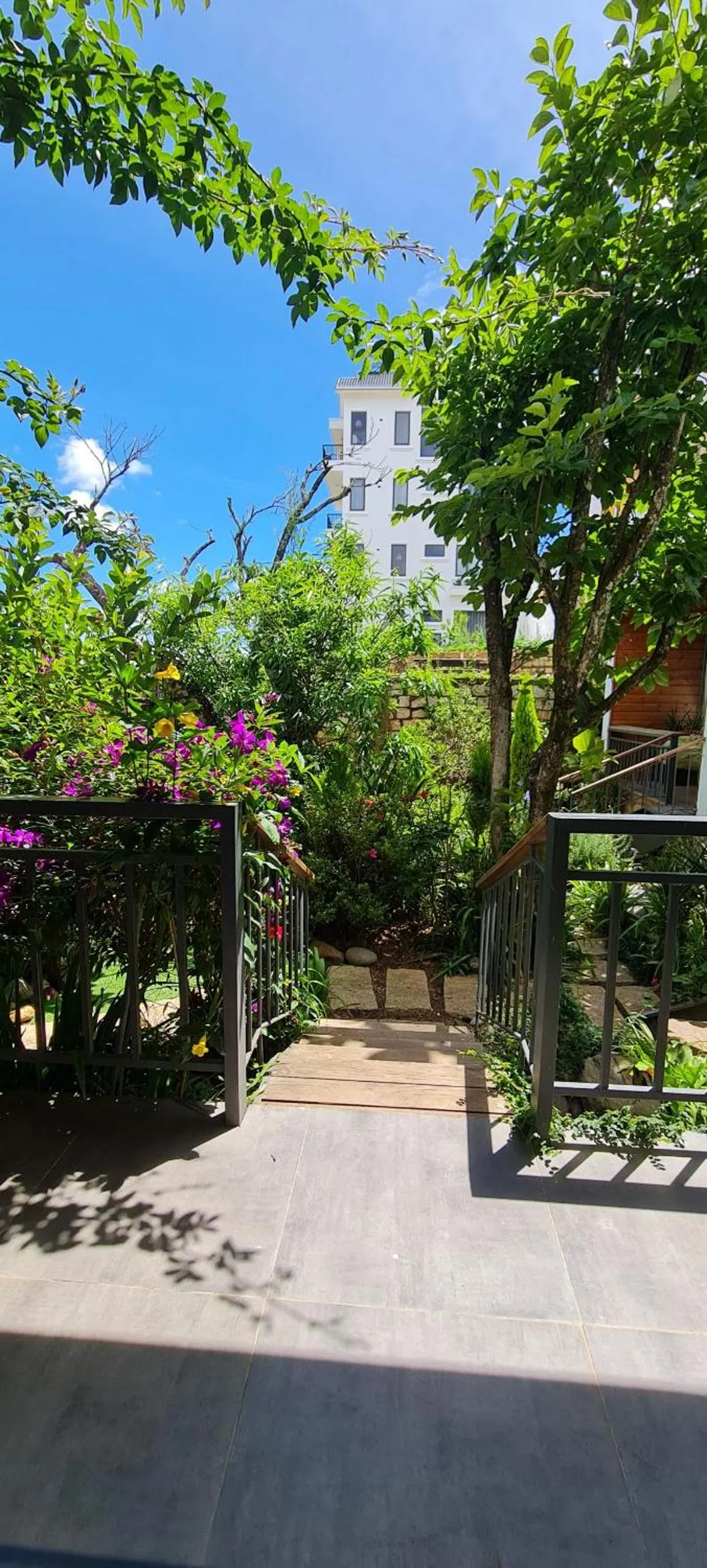 Natural landscape in Nhà Sói Homestay Da Lat