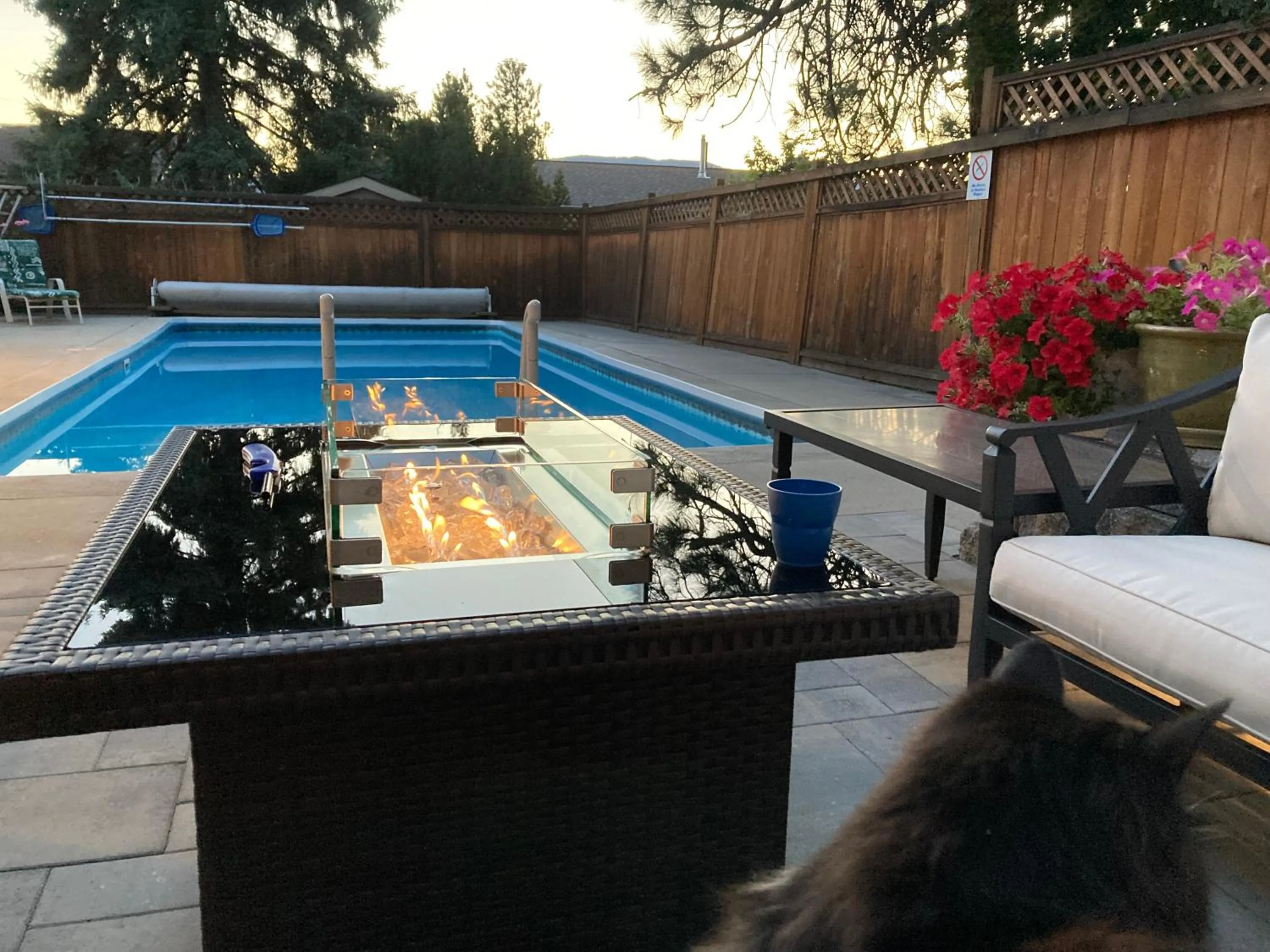 Bright poolside walkout two bedroom basement suite in the Okanagan