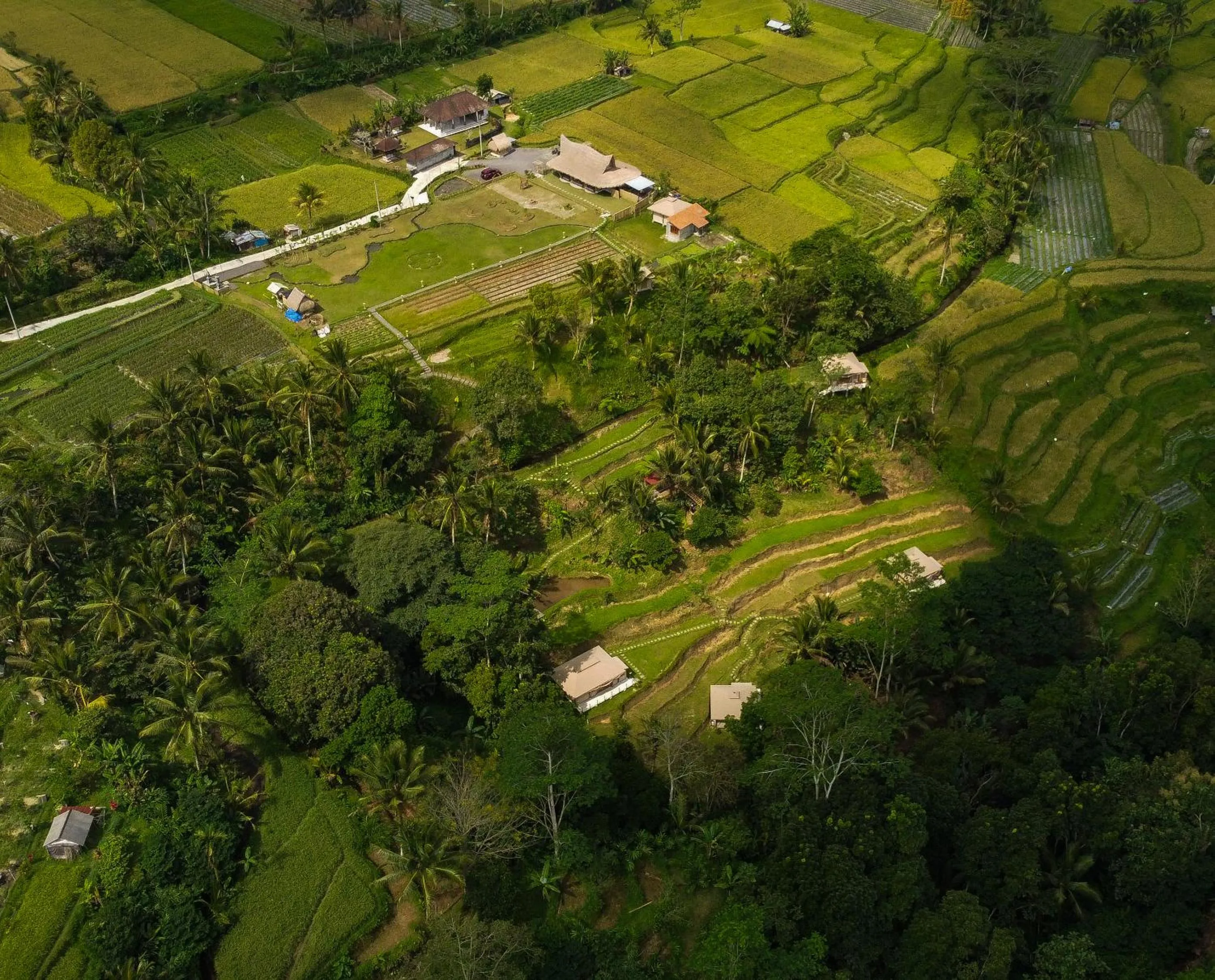 Property building in Nadi Nature Resort - Adults Only