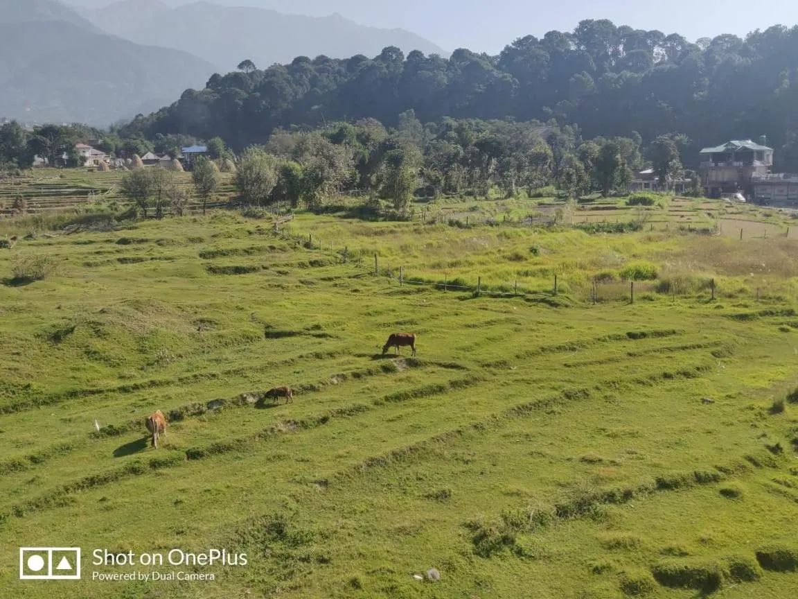 View (from property/room) in Himalayan Retreat