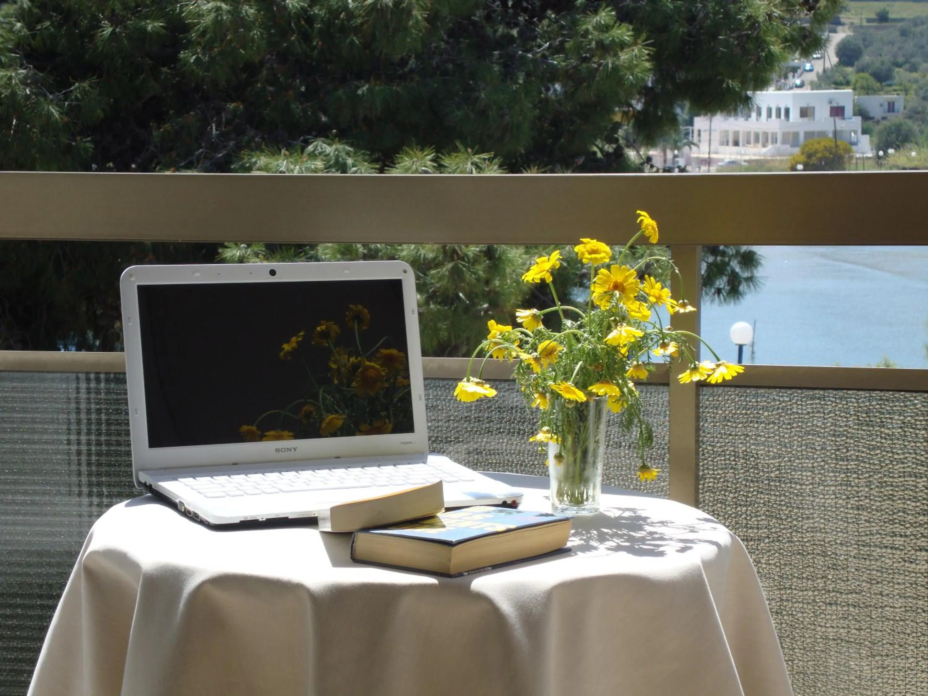 Balcony/Terrace in Rachel Hotel