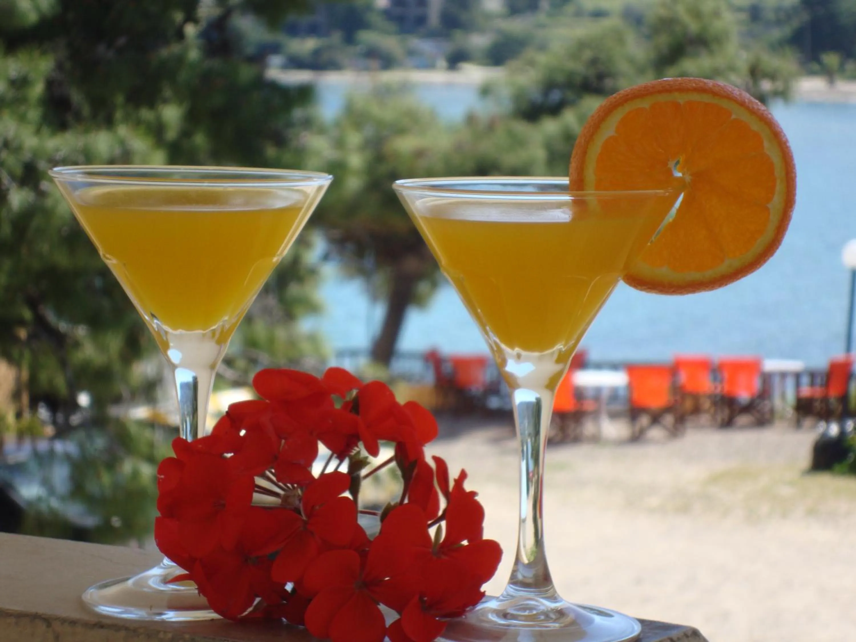 Balcony/Terrace in Rachel Hotel