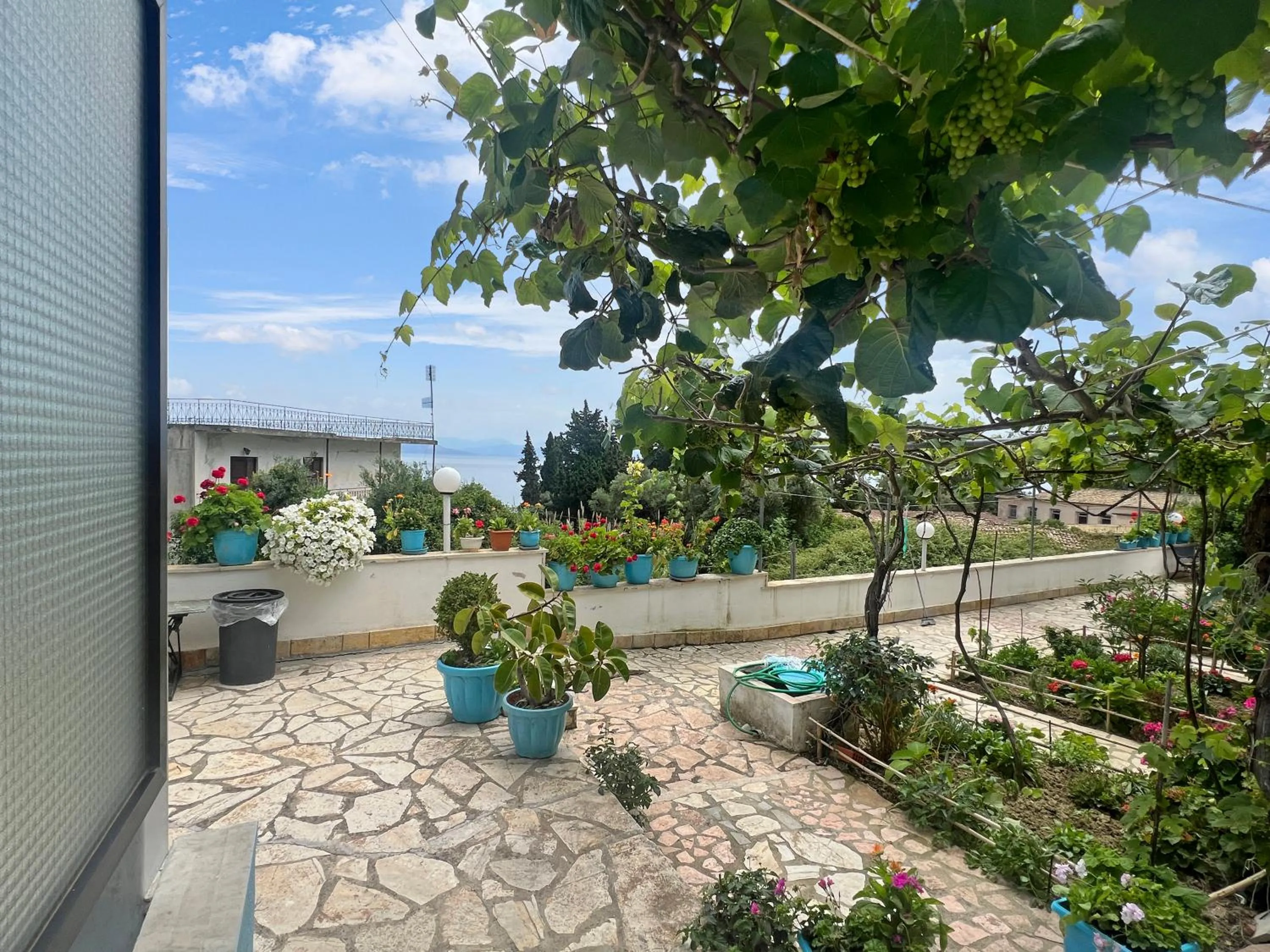 Day in Corfu Andromaches Holiday Apartments