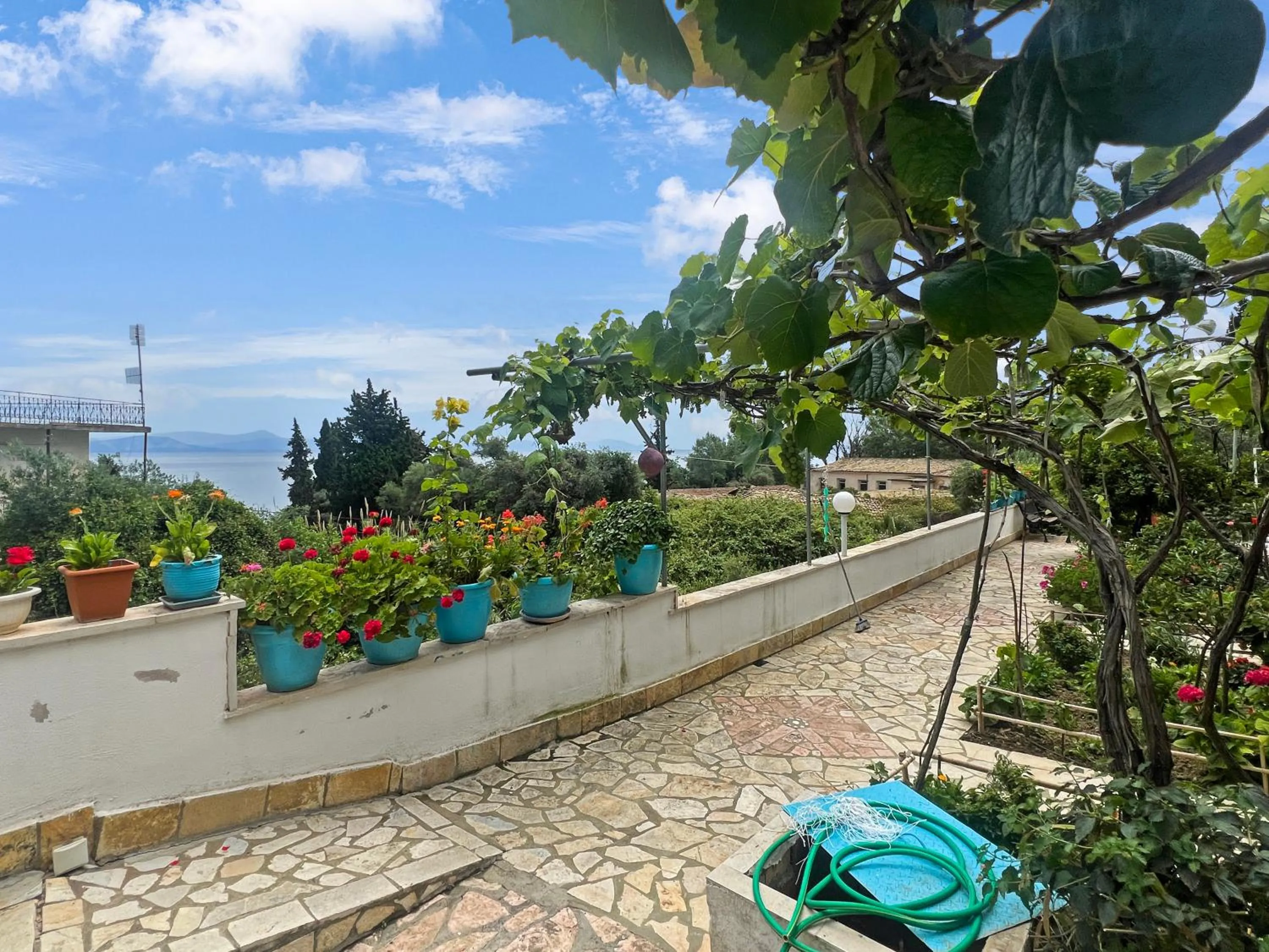 Day in Corfu Andromaches Holiday Apartments