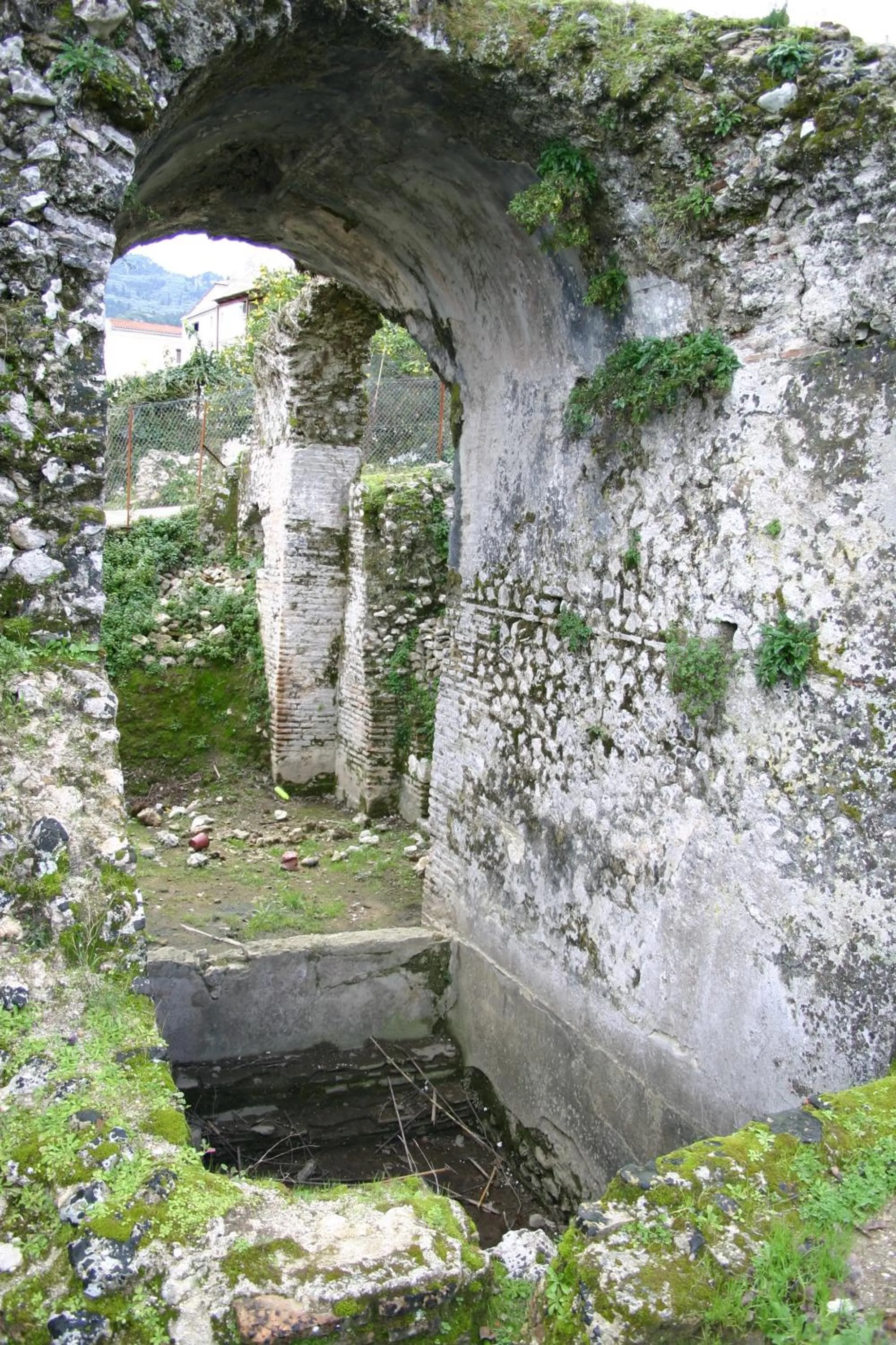 Garden in Corfu Andromaches Holiday Apartments
