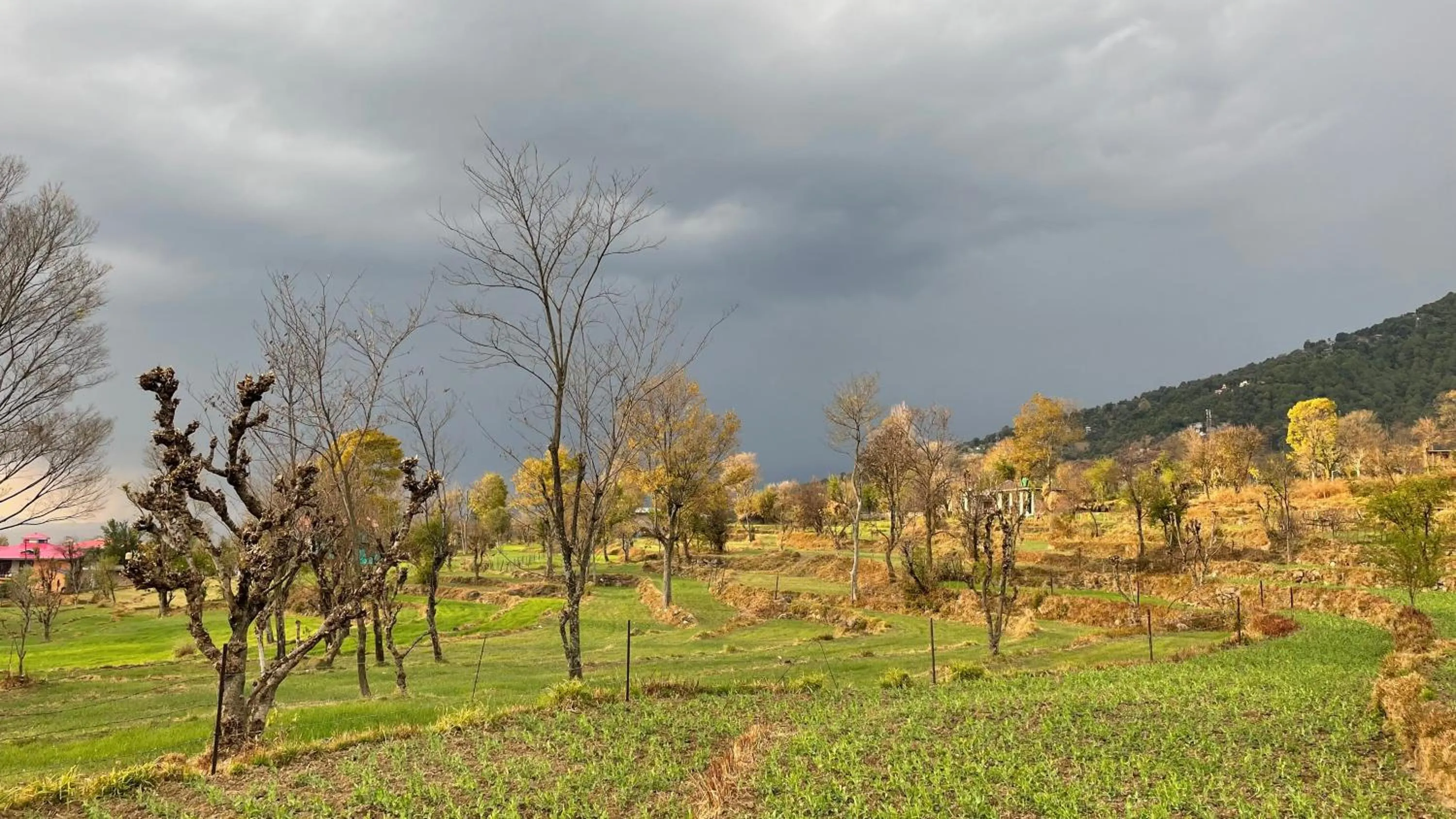 Spring in Flashpackers Bir - Rooms & Dorms