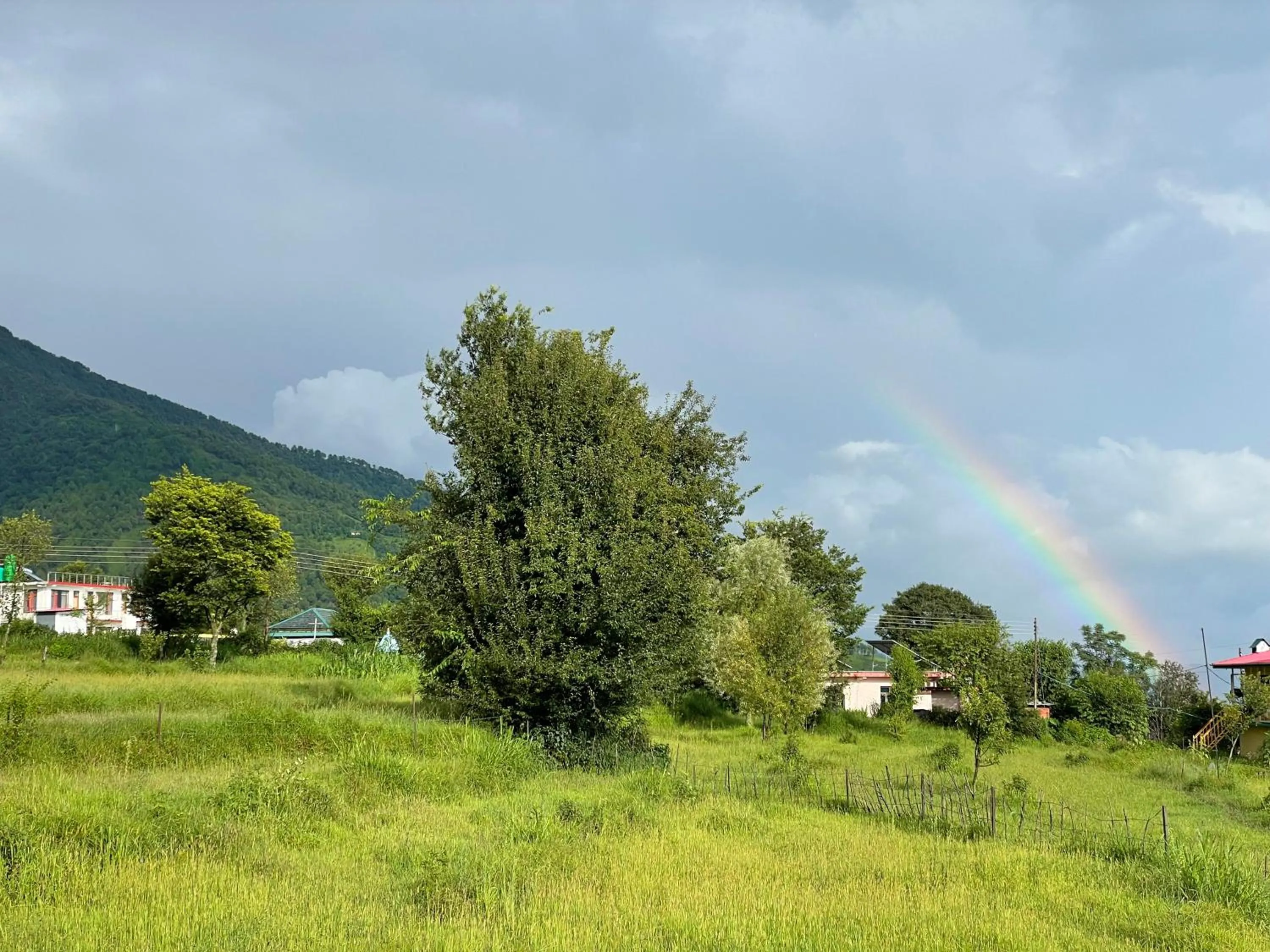 Natural landscape in Flashpackers Bir - Rooms & Dorms