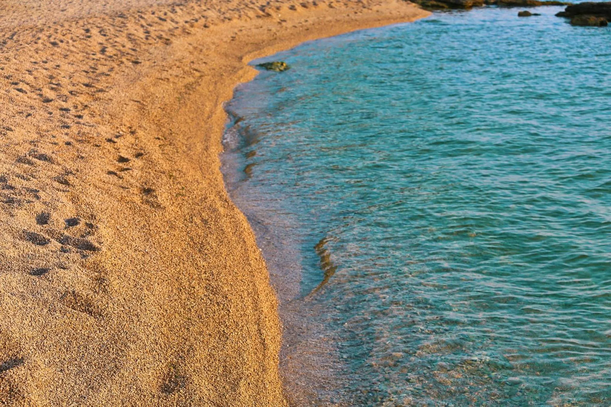 Natural landscape in Mobile Home Saky, Biograd na Moru