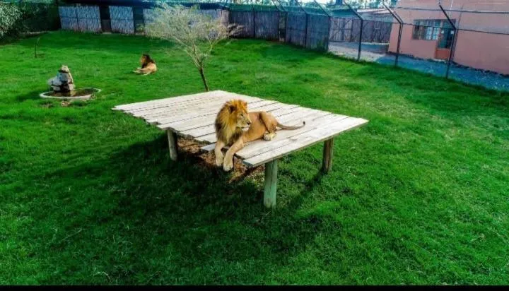 Stedmak Gardens Karen