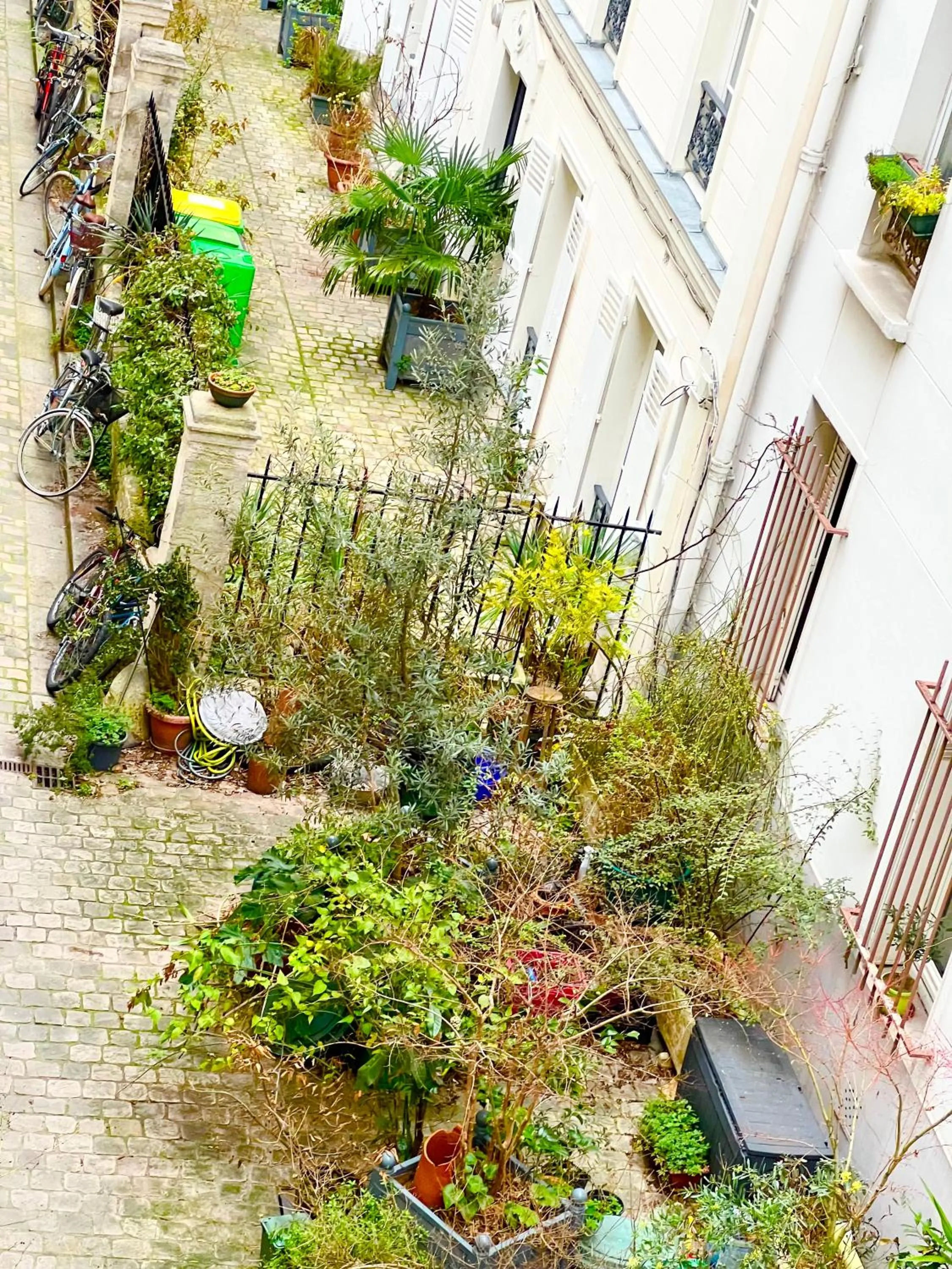 Garden in Eden Moon