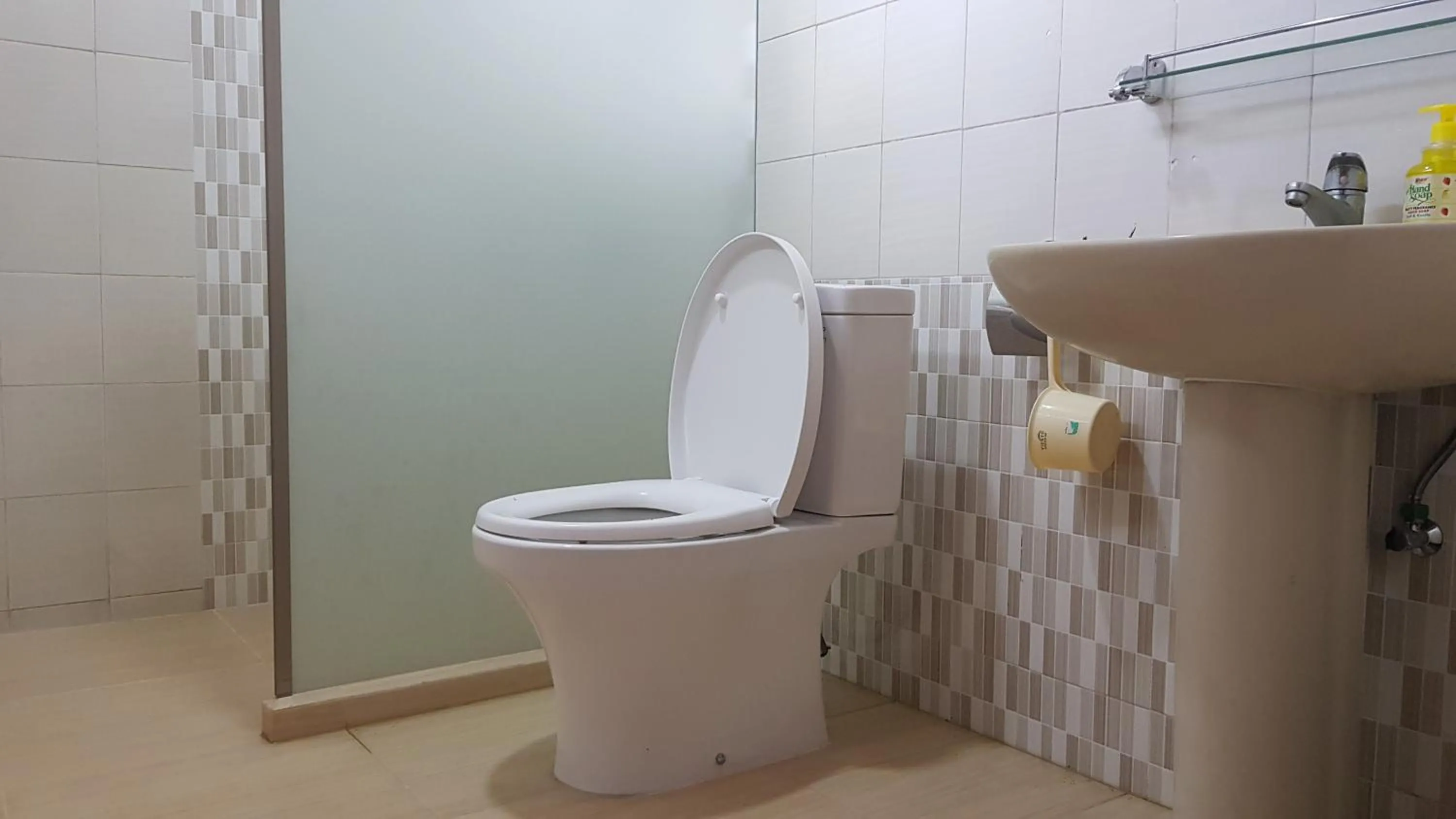 Toilet in Apollo Capsule Hotel