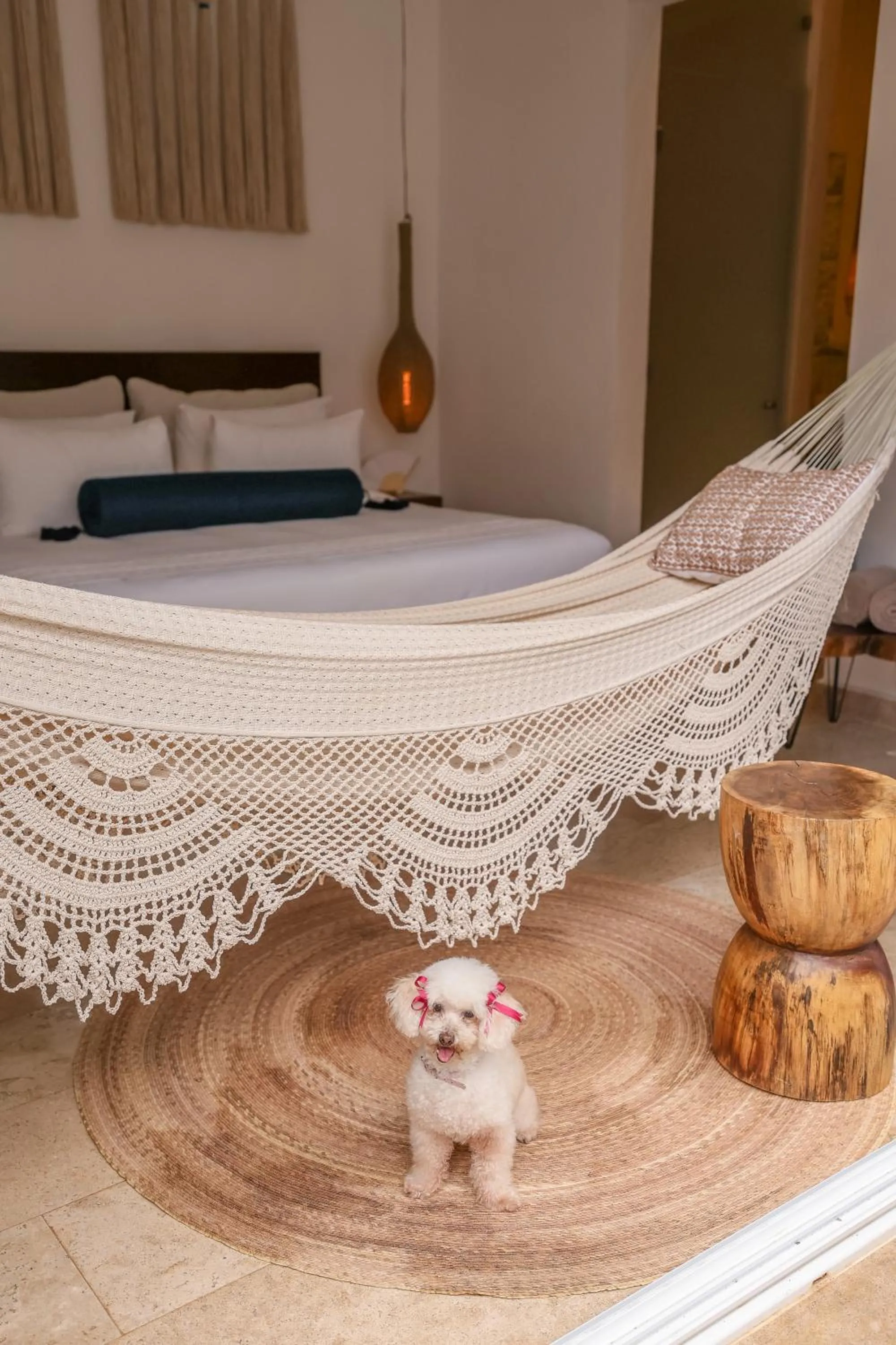 Pets in Olbil Hotel Boutique