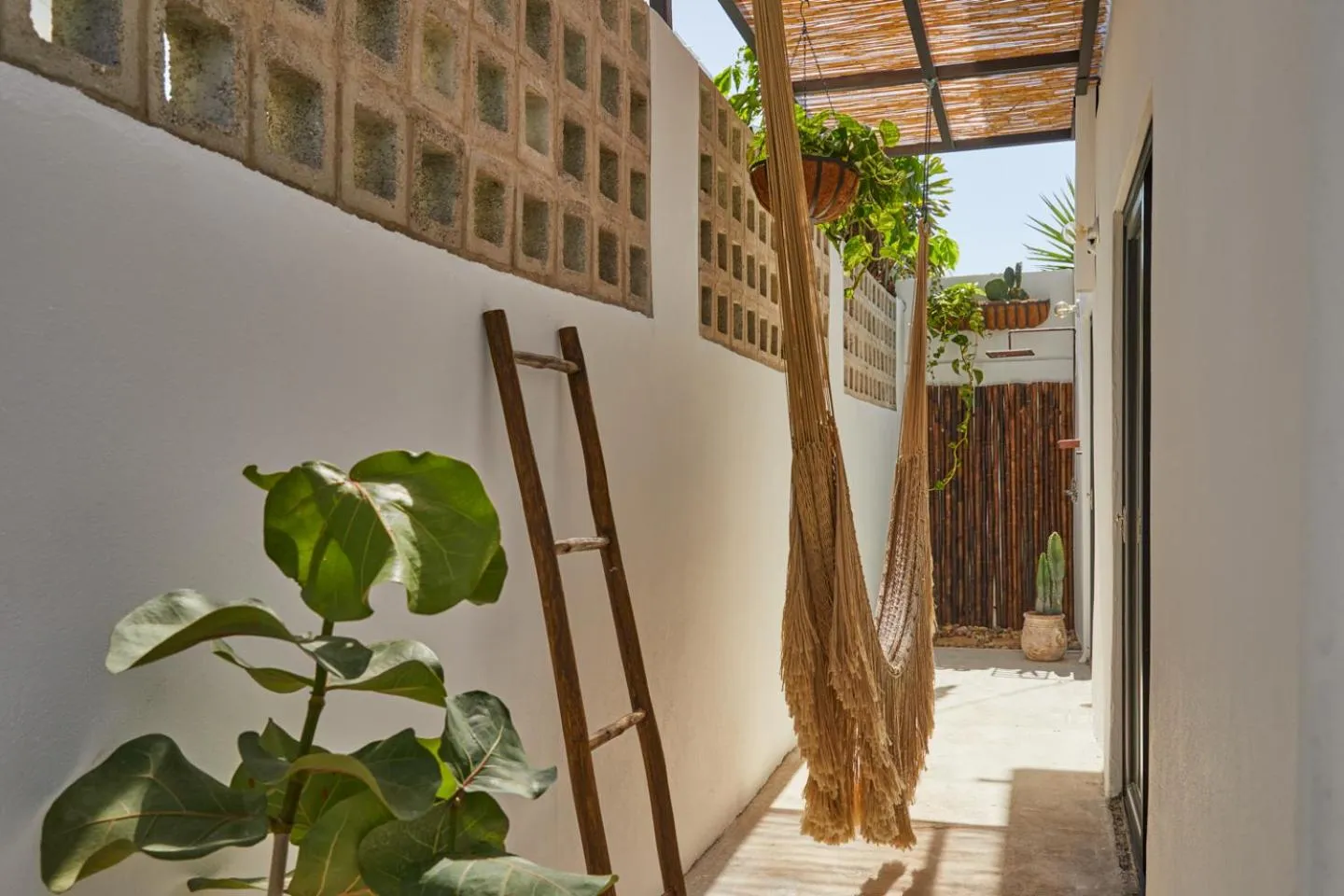 Garden in DUNA by DW