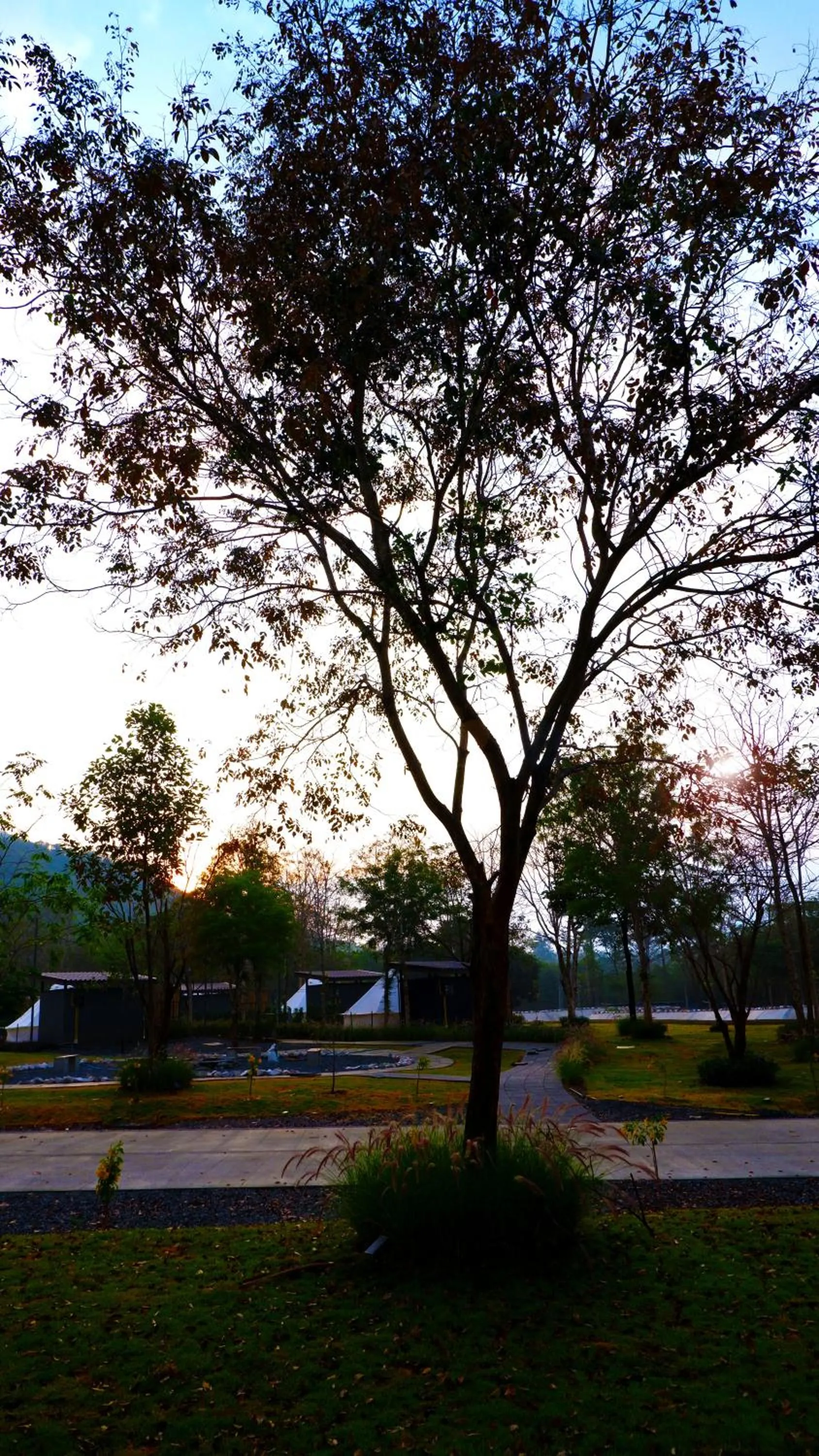 The Wild Khao Yai