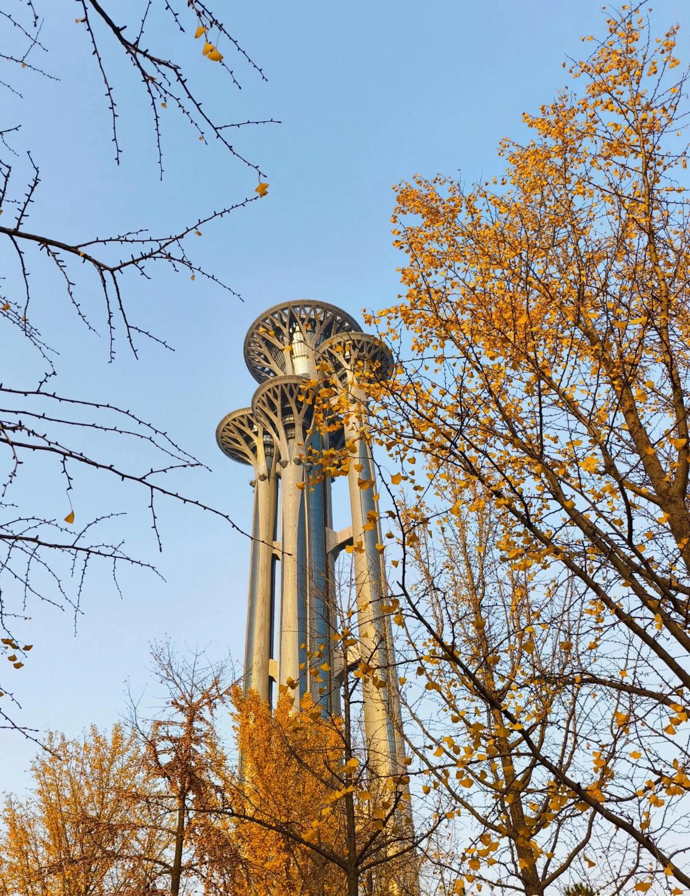 Other in Nostalgia S Hotel Beijing National Stadium-Bird's Nest