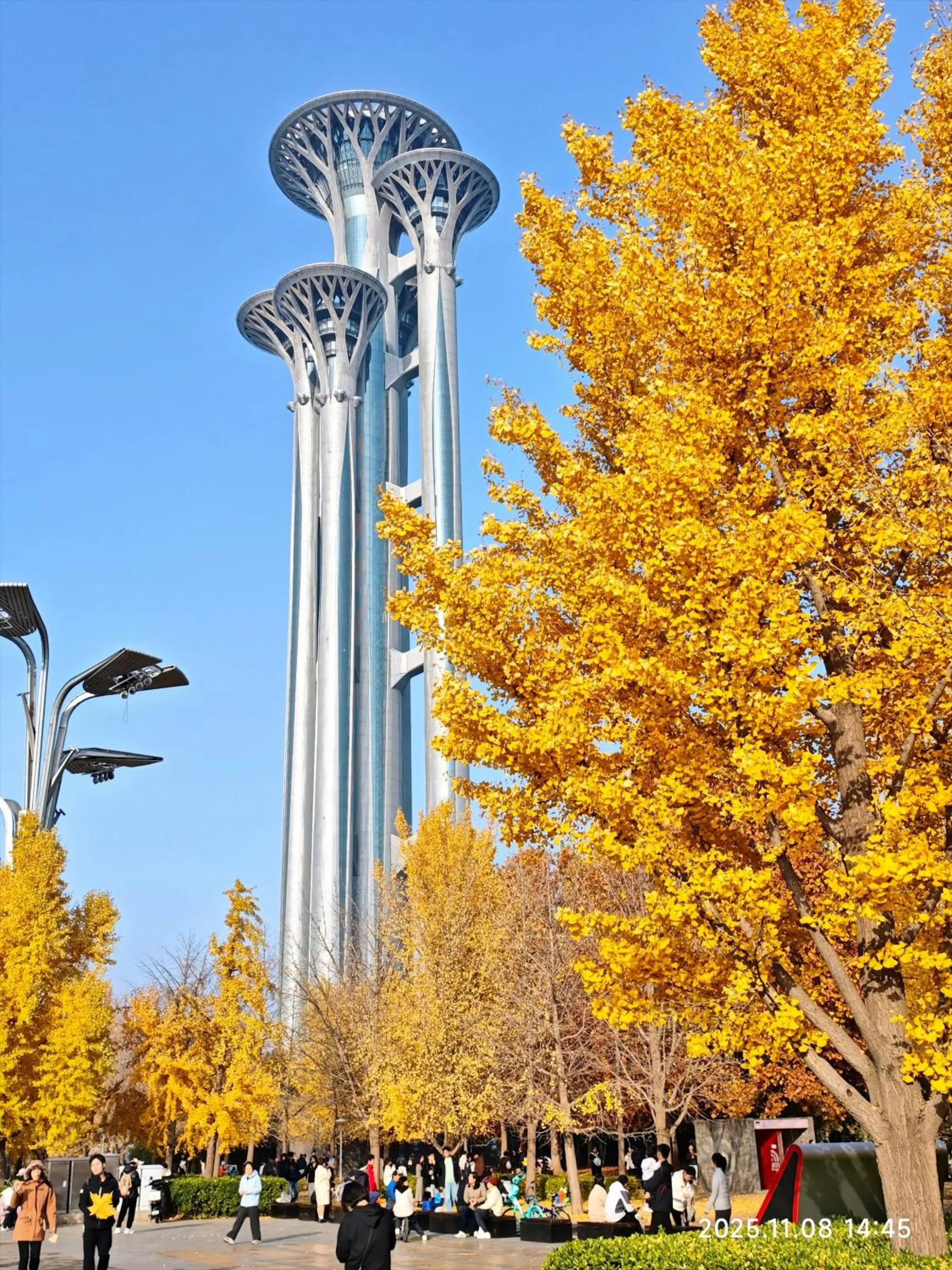 Other in Nostalgia S Hotel Beijing National Stadium-Bird's Nest