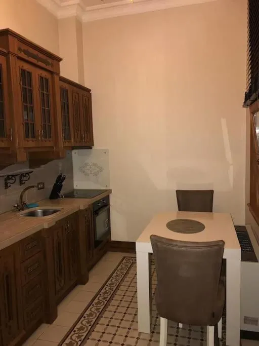 Kitchen or kitchenette in Aslan Residence