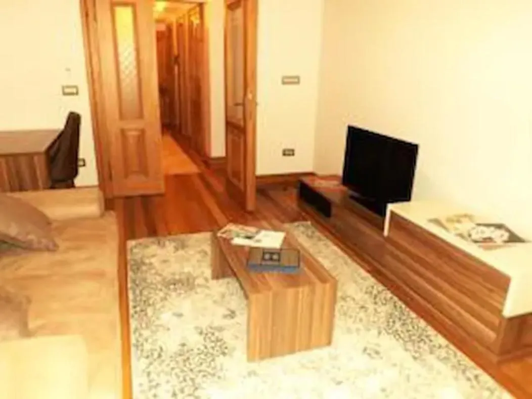 TV and multimedia in Aslan Residence
