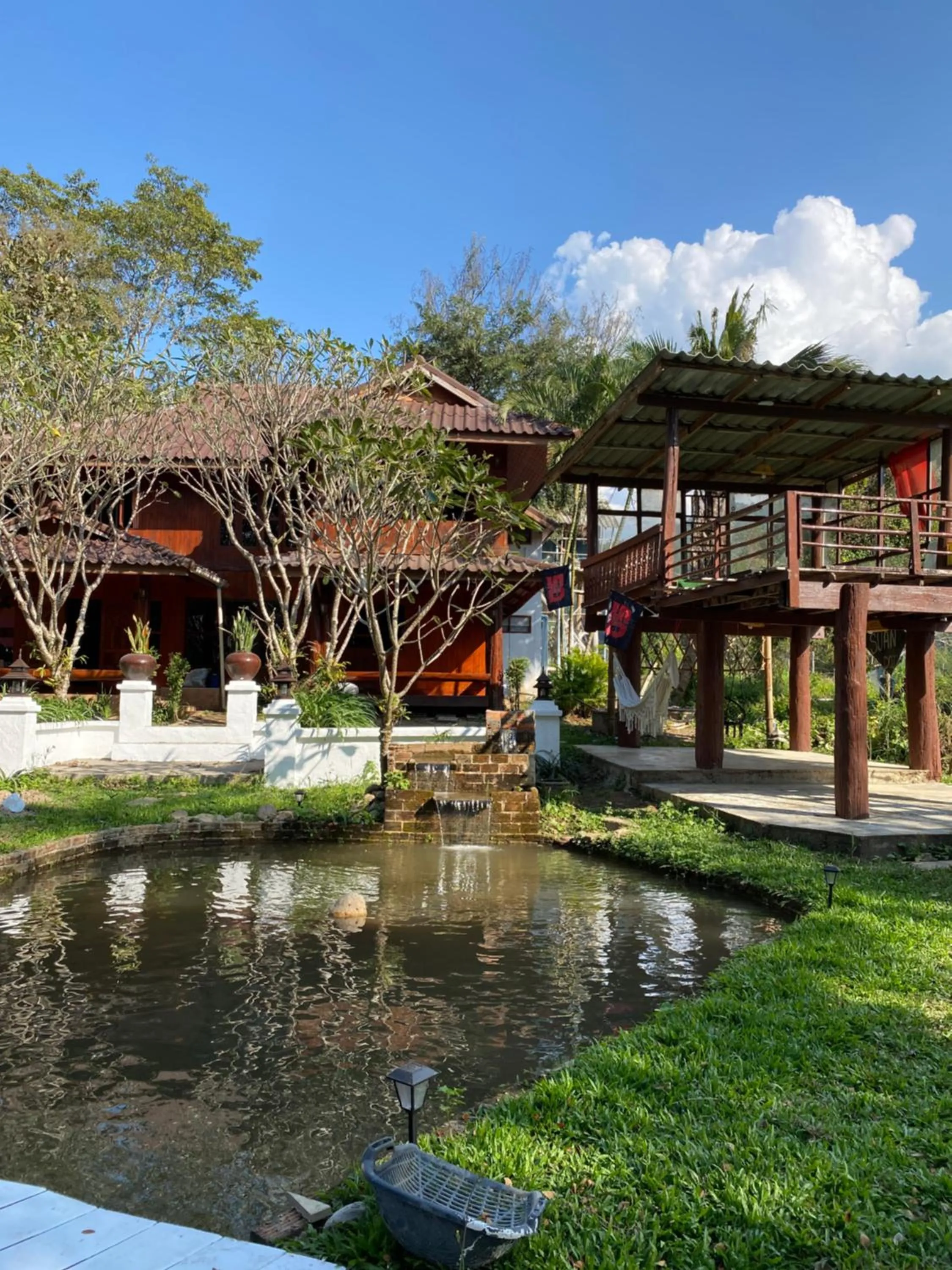 Garden in Shaya Resort