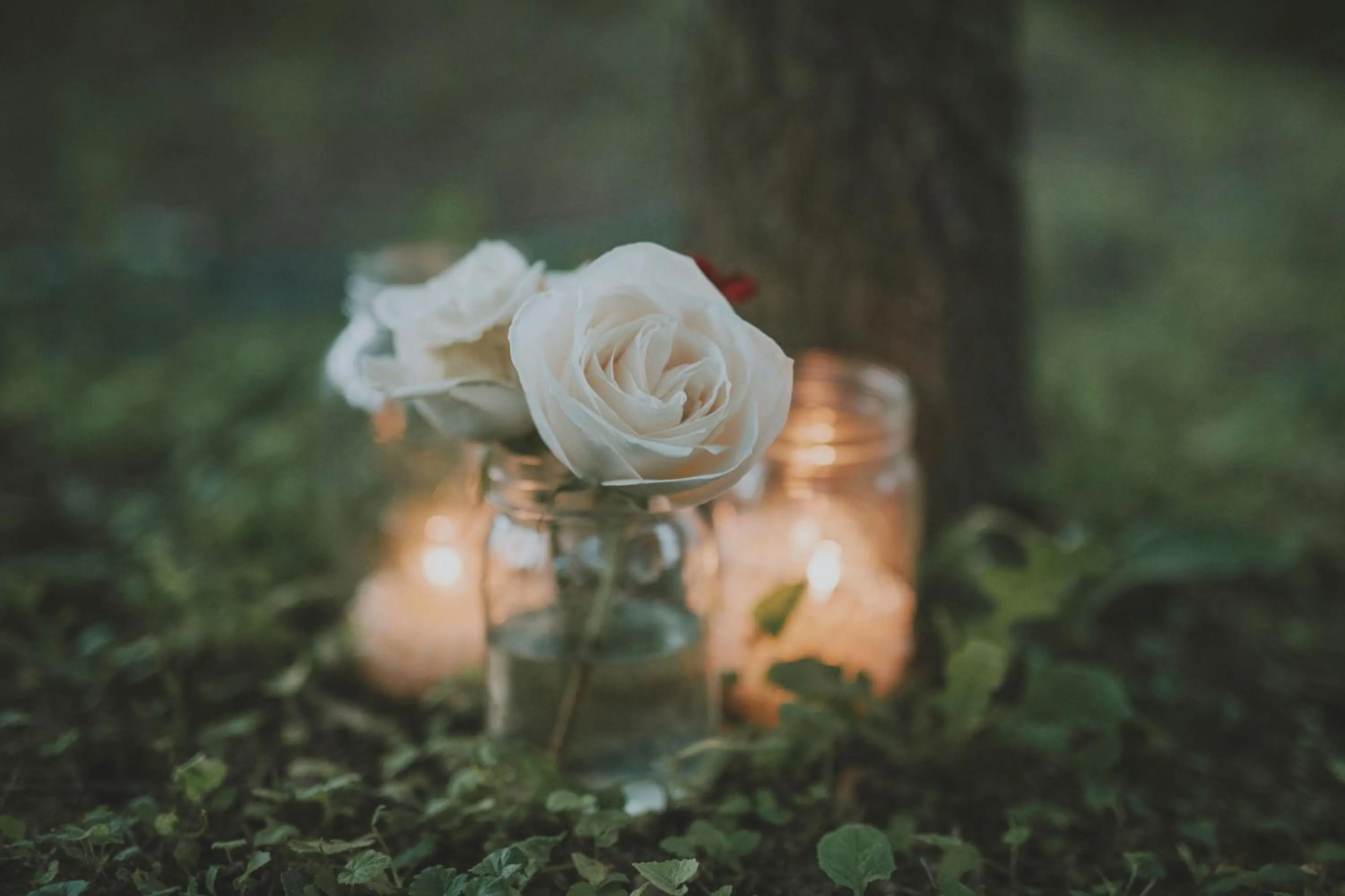 Banquet/Function facilities in Plaza San Antonio Hotel & Spa, Autograph Collection