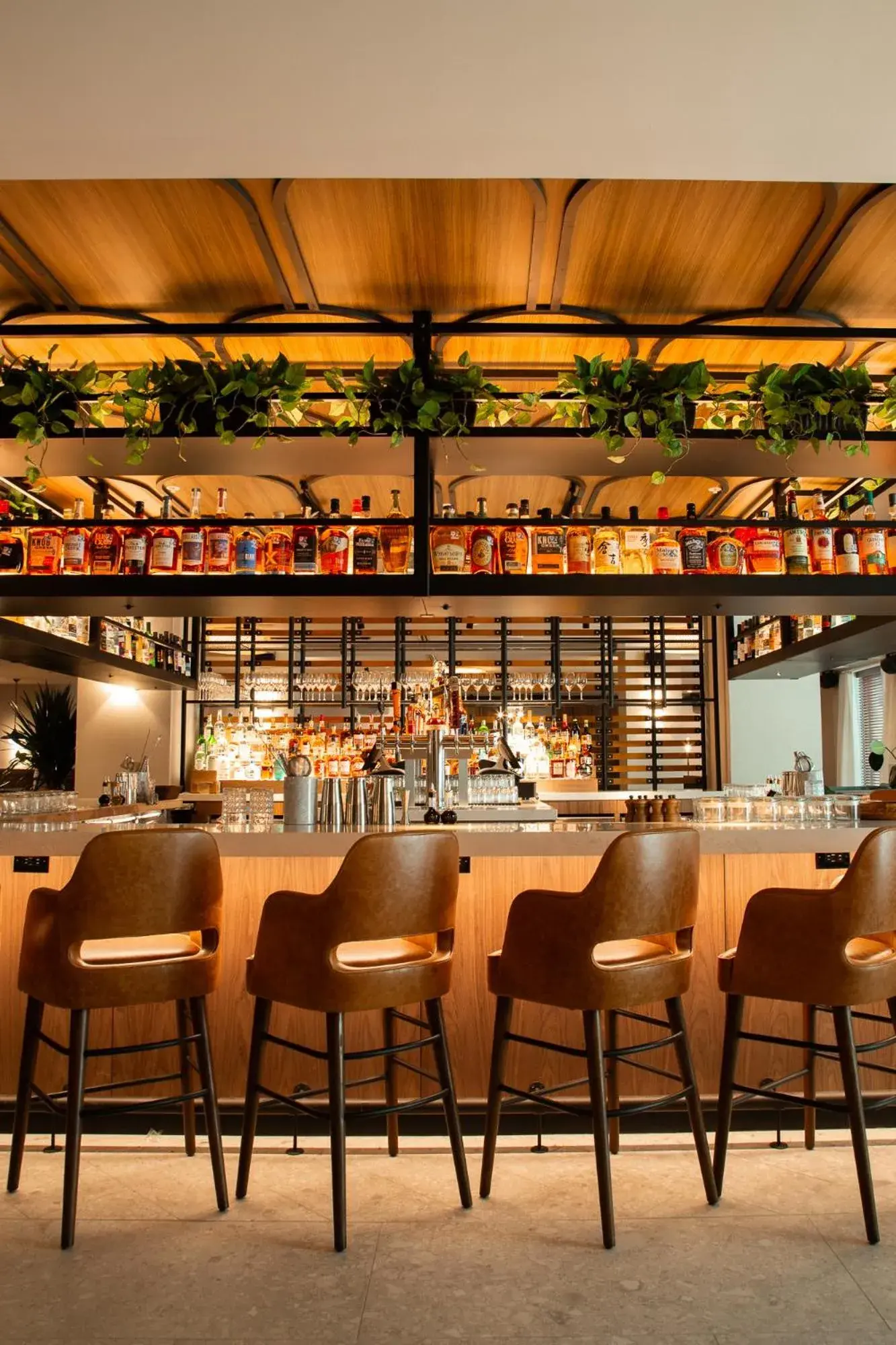 Restaurant/places to eat in Plaza San Antonio Hotel & Spa, Autograph Collection Restaurant/places to eat in Plaza San Antonio Hotel & Spa, Autograph Collection