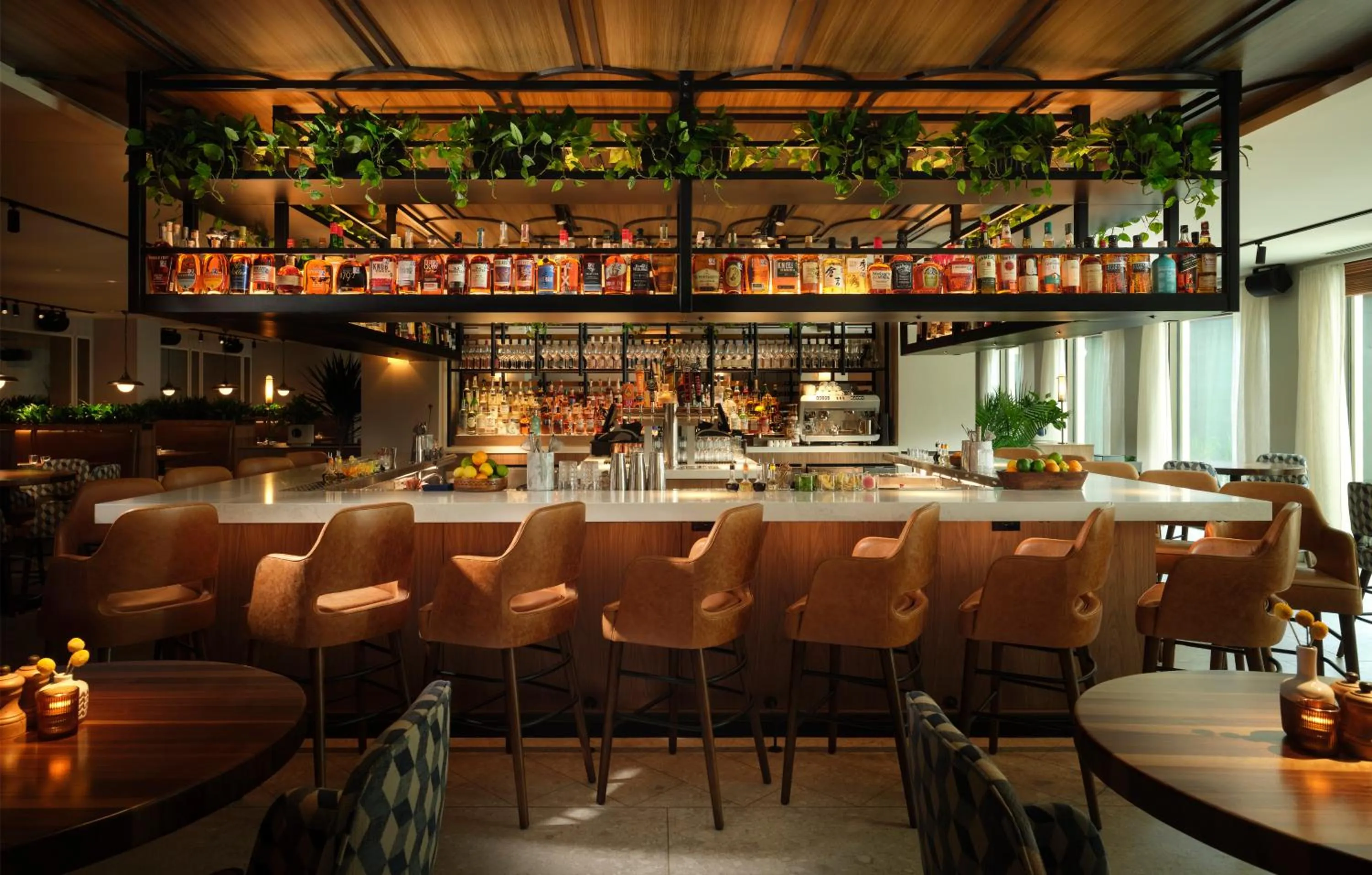 Restaurant/places to eat in Plaza San Antonio Hotel & Spa, Autograph Collection