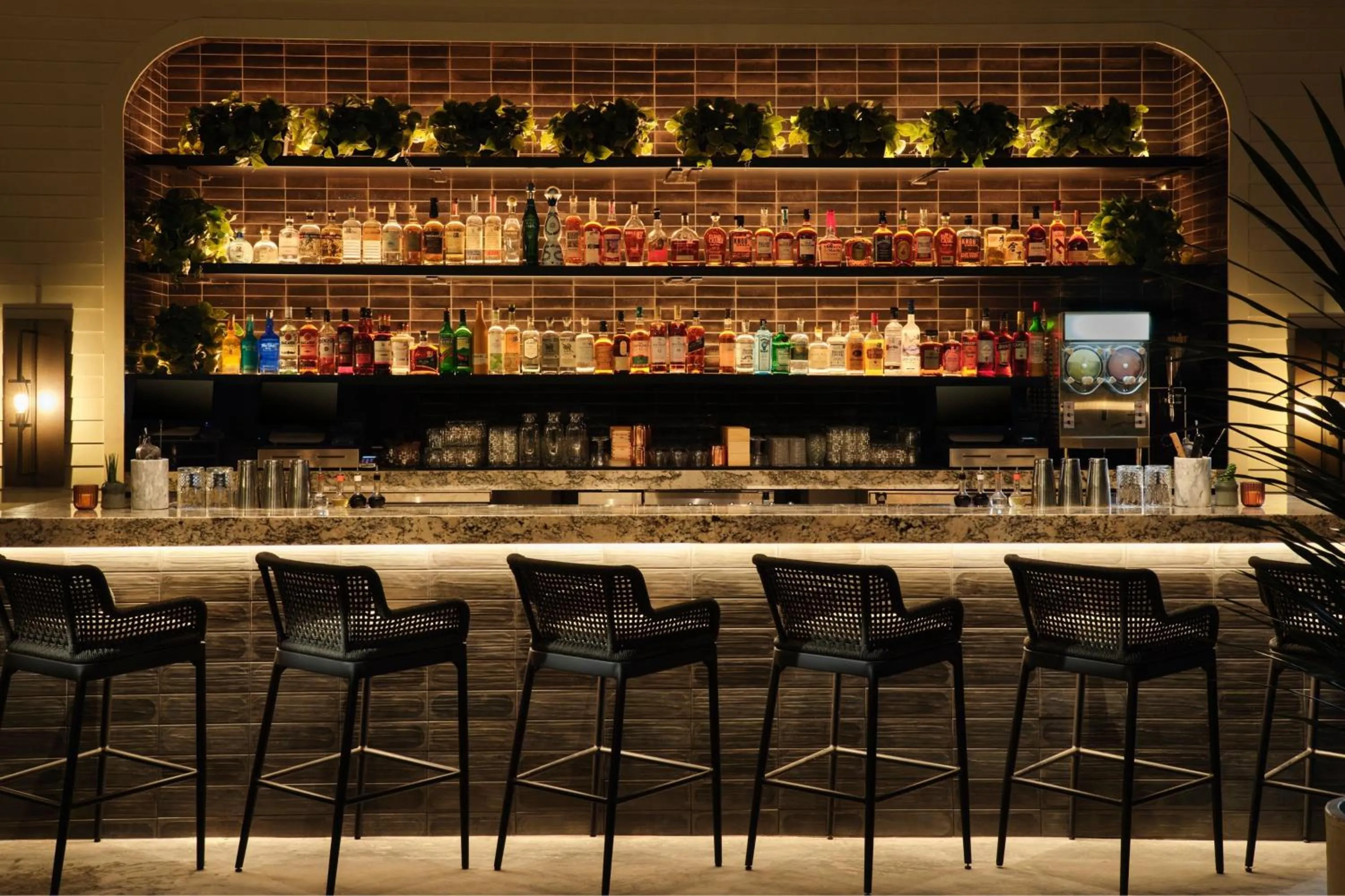 Lounge or bar in Plaza San Antonio Hotel & Spa, Autograph Collection