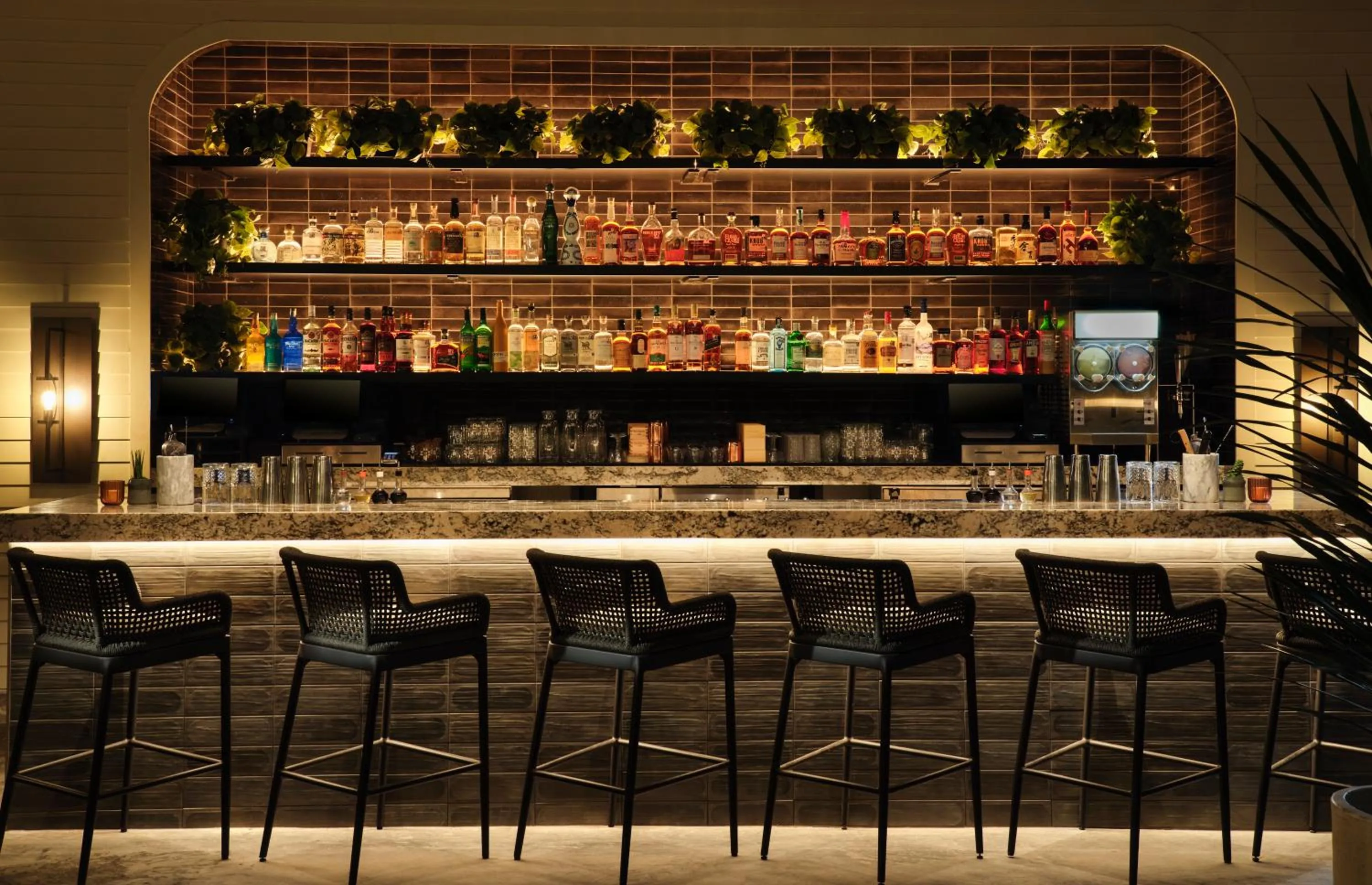 Lounge or bar in Plaza San Antonio Hotel & Spa, Autograph Collection