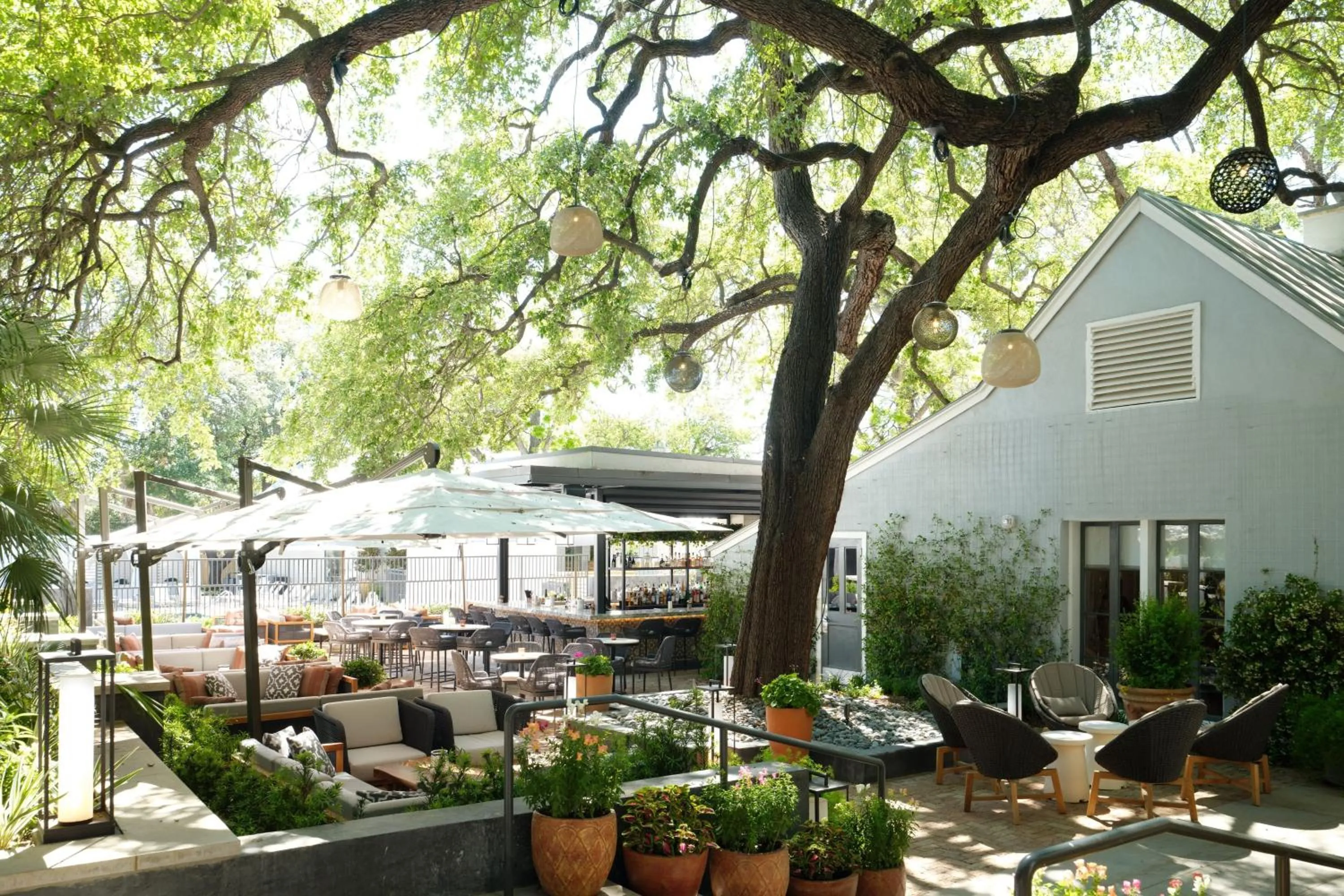 Lounge or bar in Plaza San Antonio Hotel & Spa, Autograph Collection