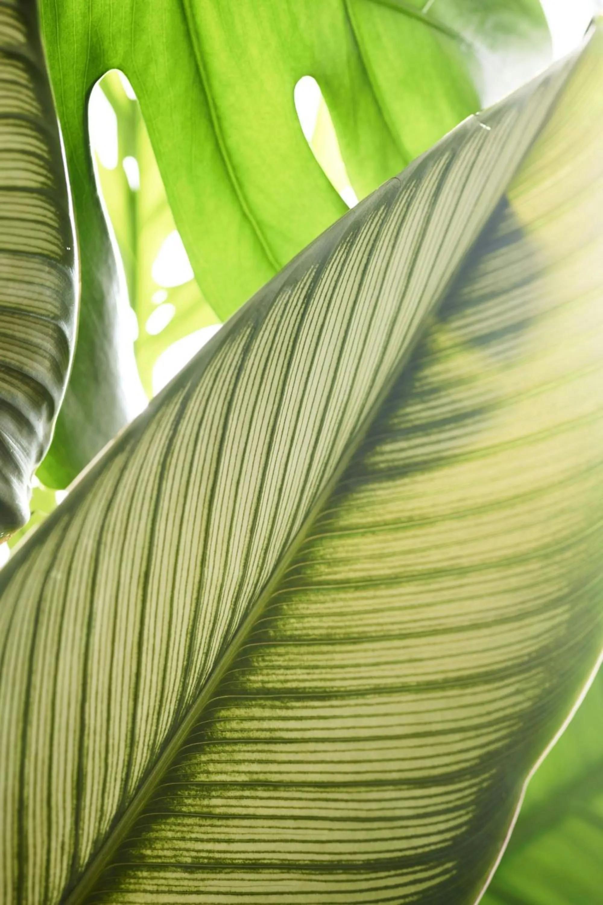 Spa and wellness centre/facilities in Plaza San Antonio Hotel & Spa, Autograph Collection