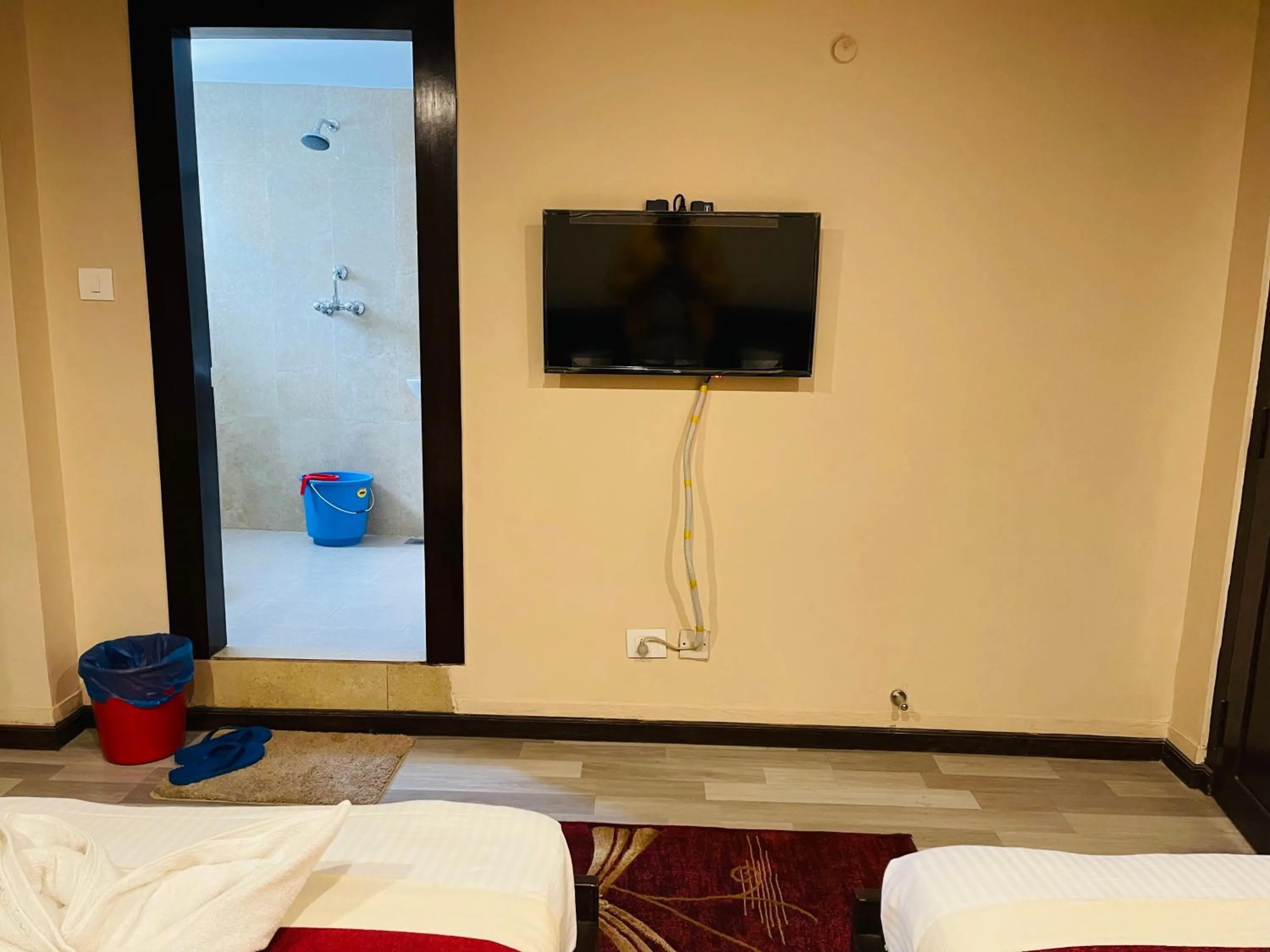 TV and multimedia in Hotel Lotus Grand Pvt Ltd