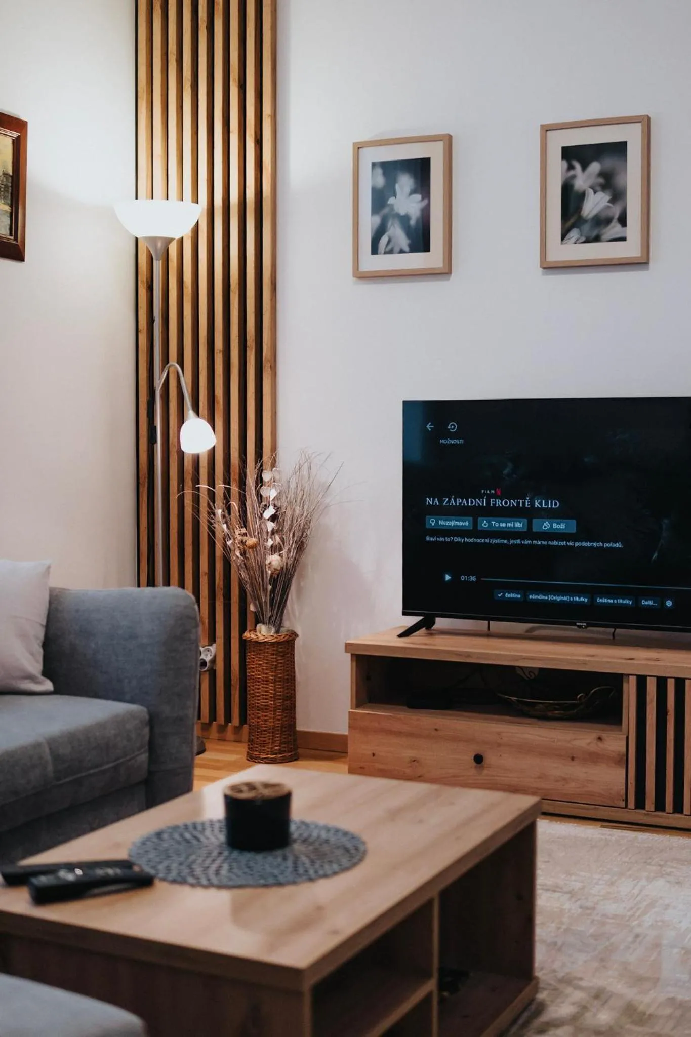 TV and multimedia in Vila Kollár Vysoké Tatry