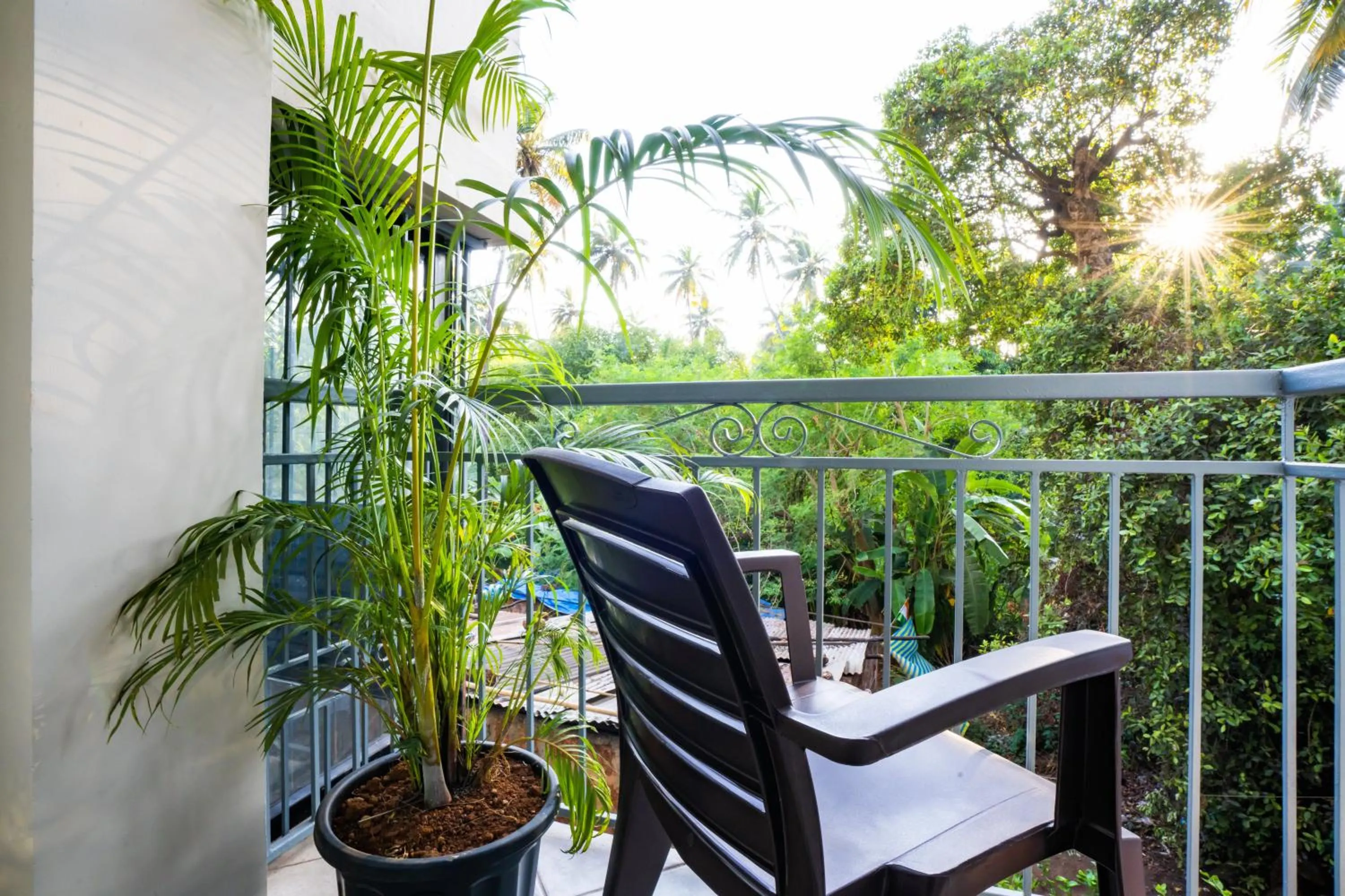 Day in Zostel Goa, Morjim