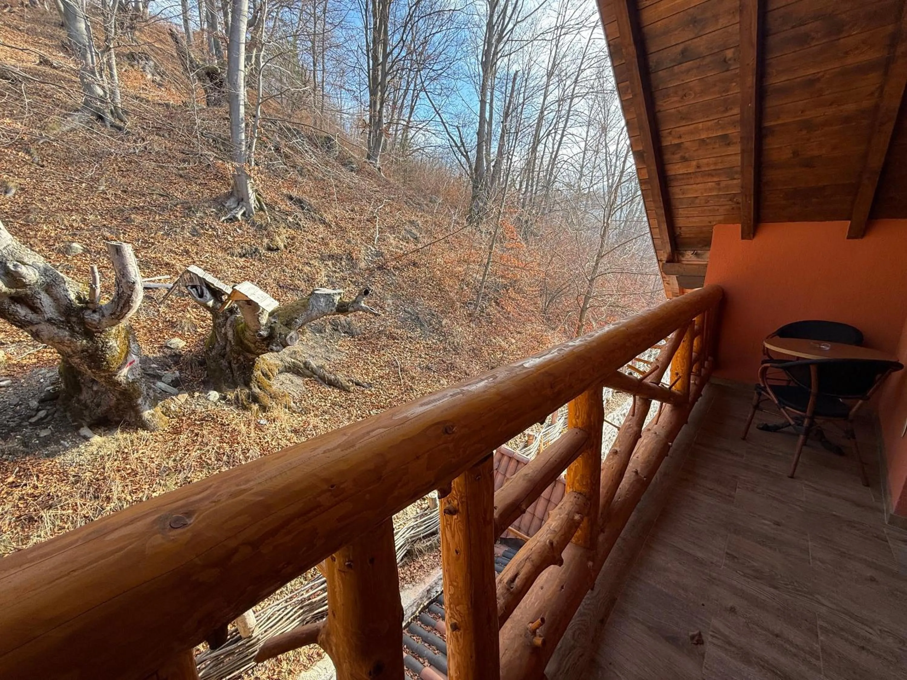 Day in Conacul Radacinilor