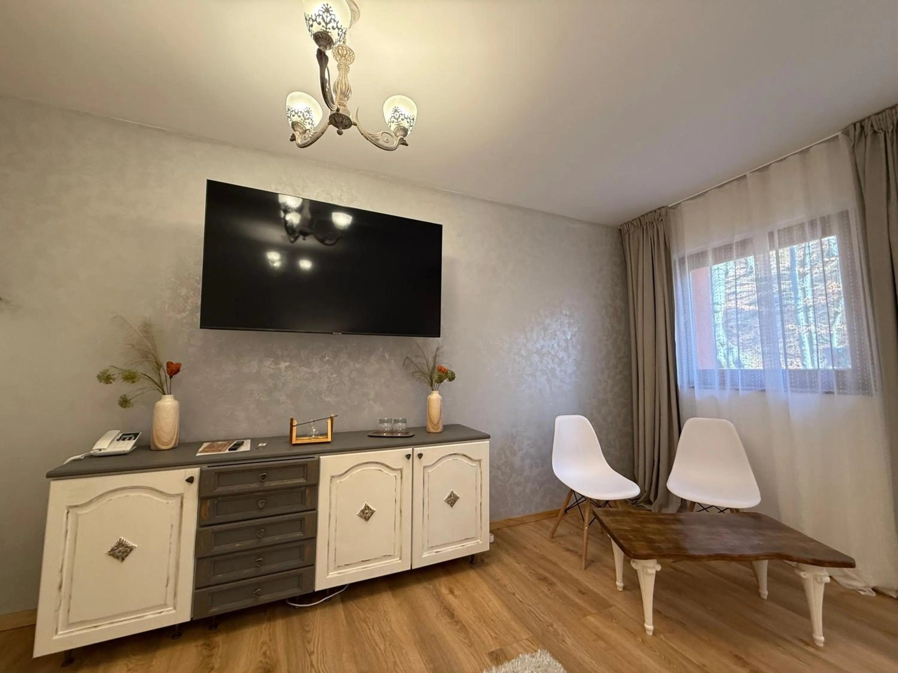 TV and multimedia in Conacul Radacinilor