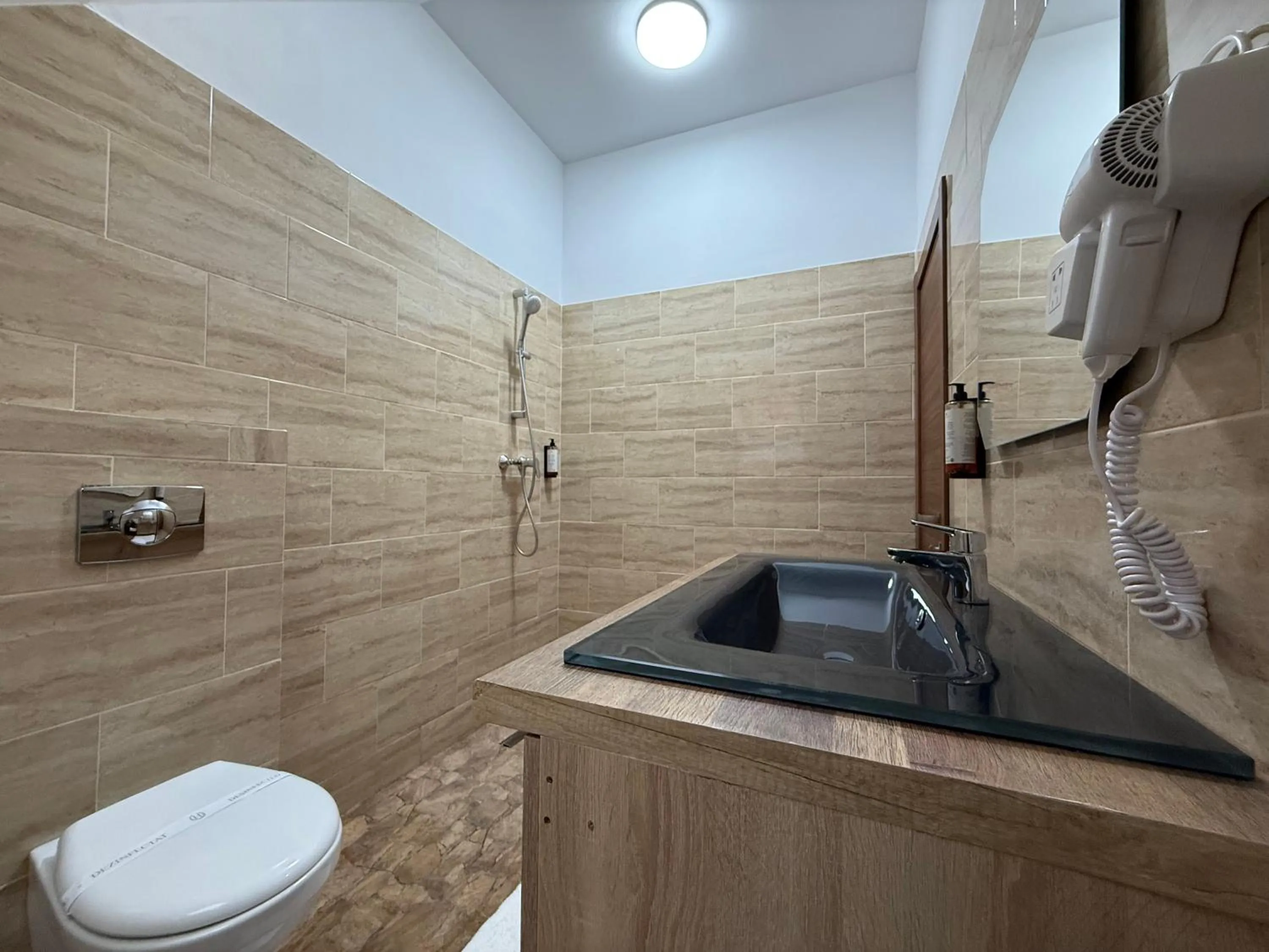 Shower in Conacul Radacinilor