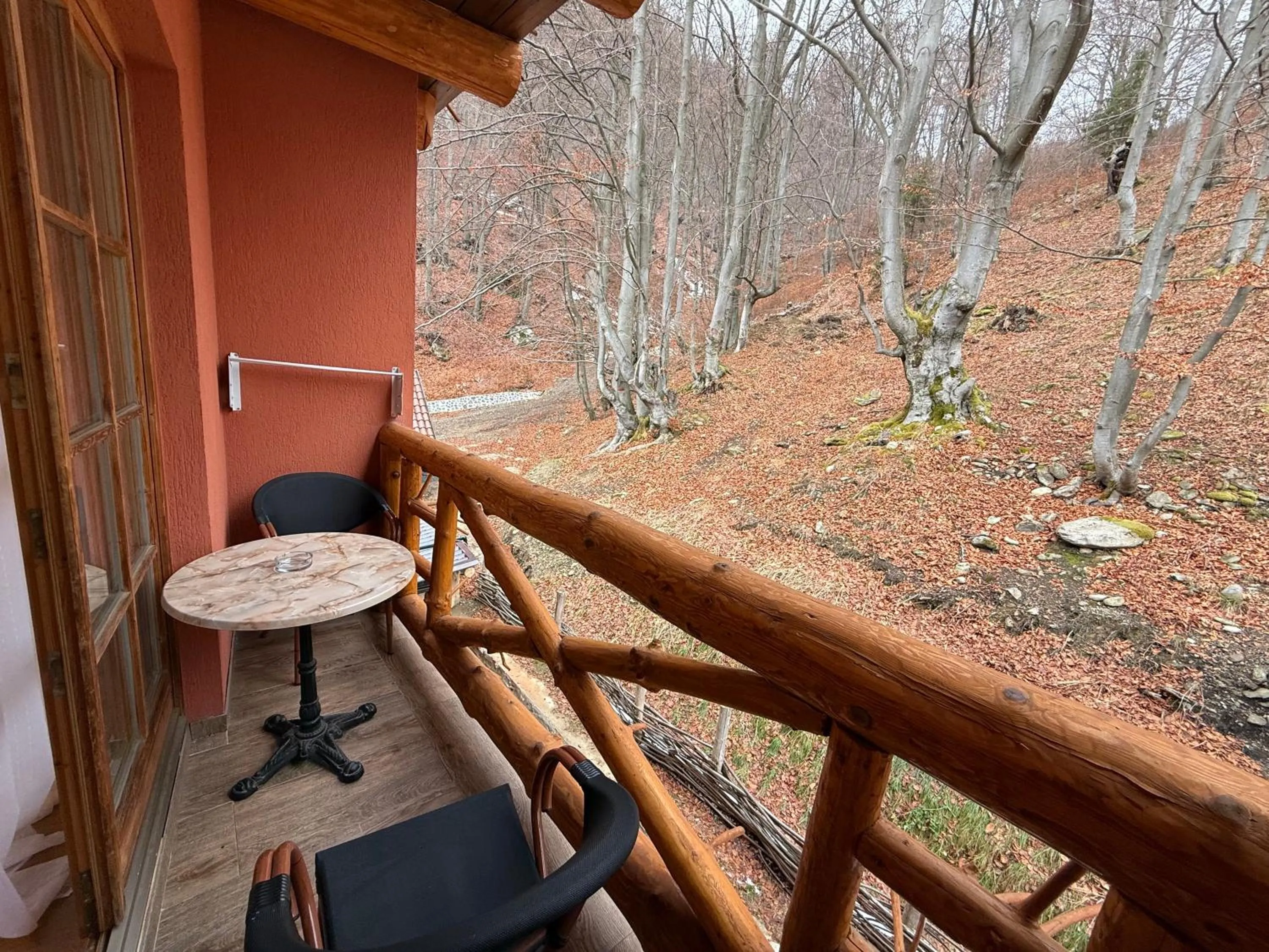 Day in Conacul Radacinilor