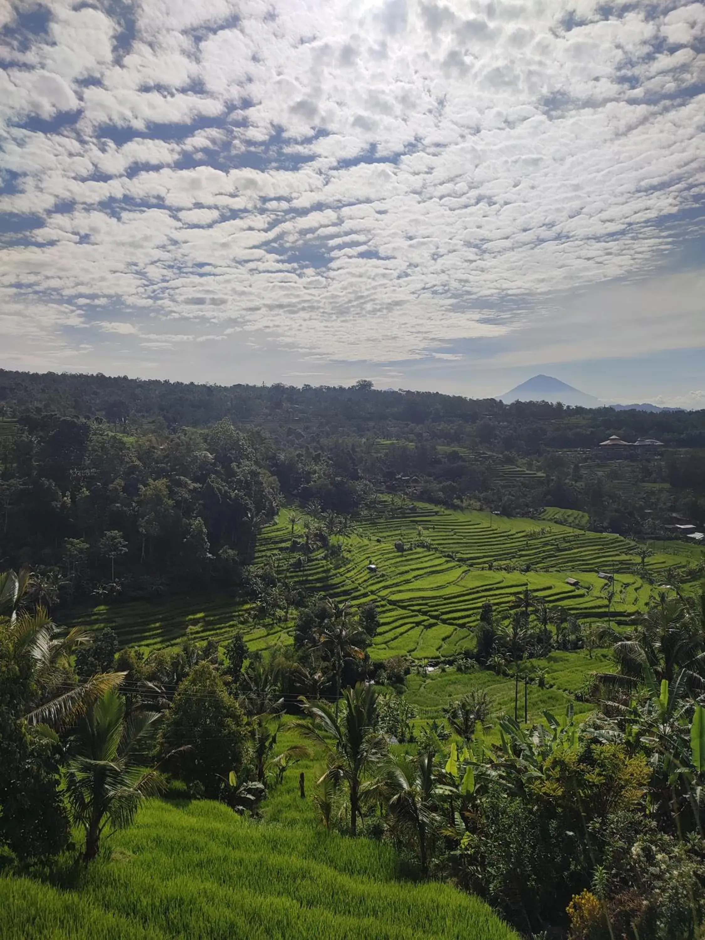 Gunza Bed and Breakfast Gunza Bed and Breakfast