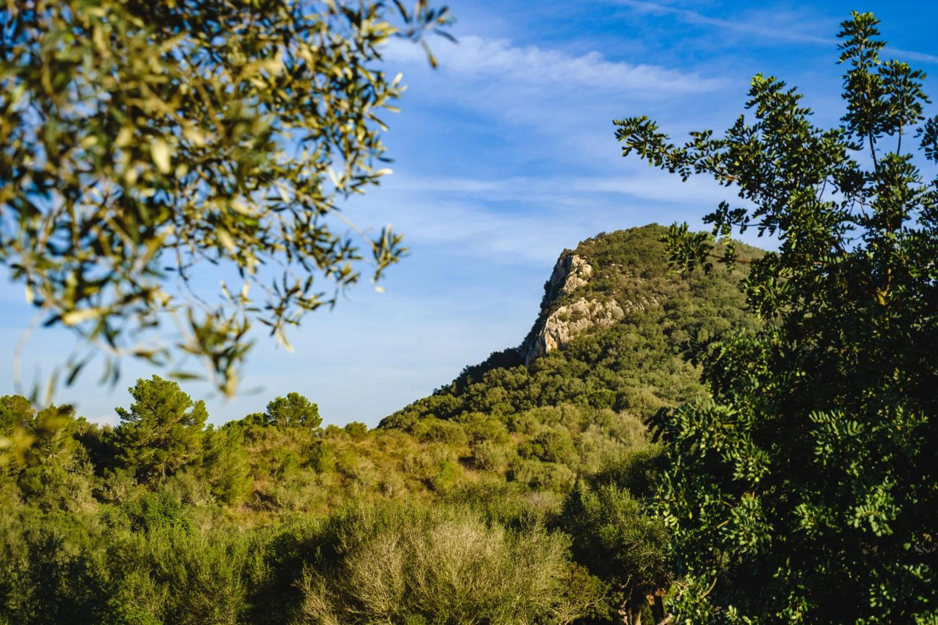 Nearby landmark in Finca Sa Bastida Luxury Retreat & Spa Adults Only - Over 14