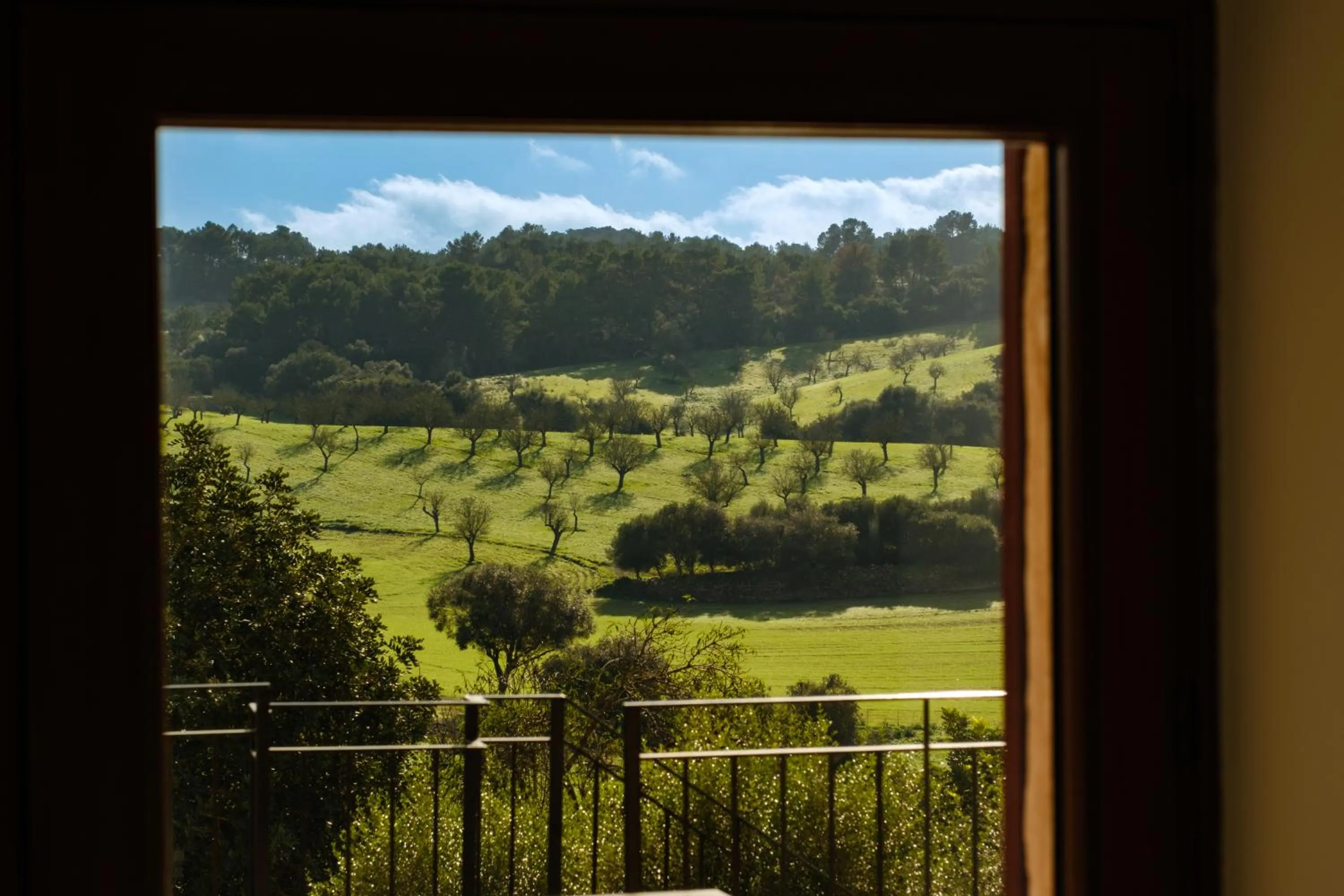 Day in Finca Sa Bastida Luxury Retreat & Spa Adults Only - Over 14