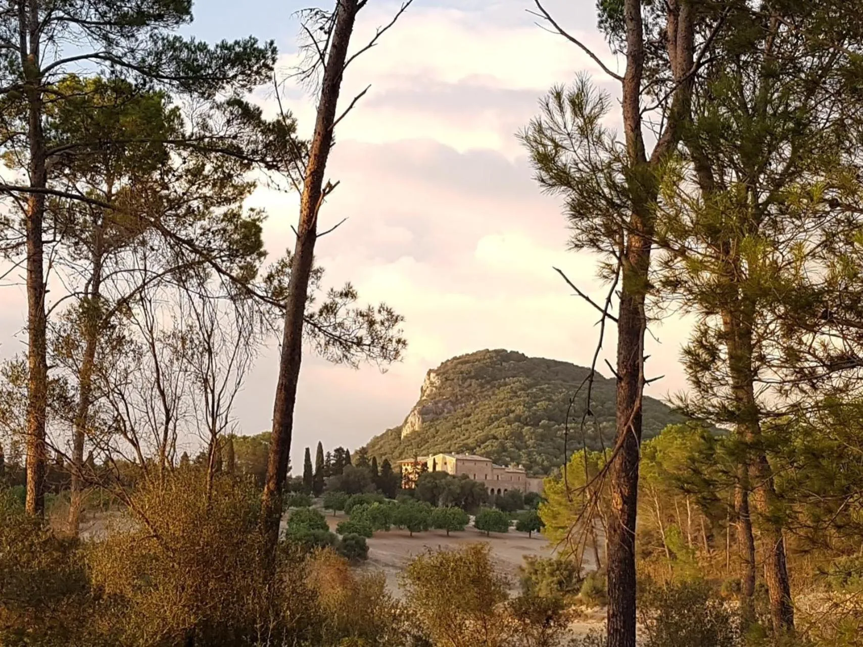 Mountain view in Finca Sa Bastida Luxury Retreat & Spa Adults Only - Over 14