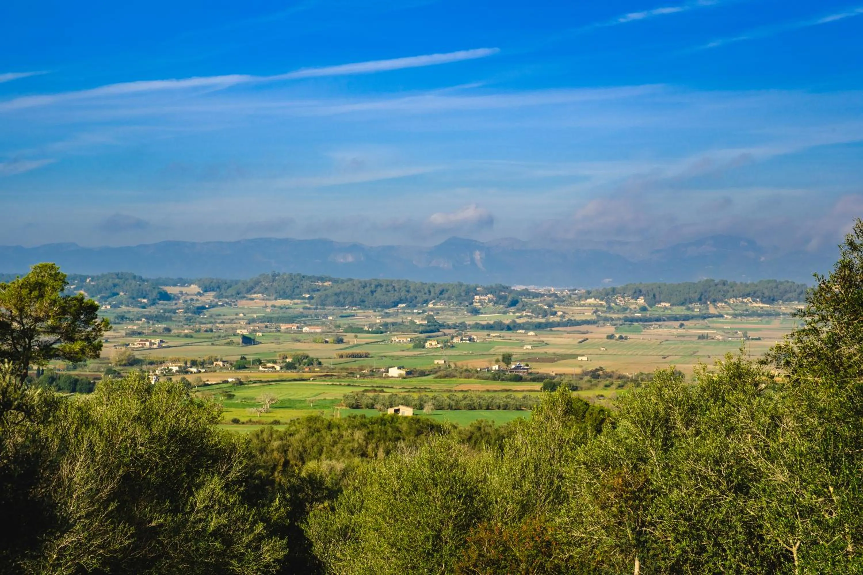 Mountain view in Finca Sa Bastida Luxury Retreat & Spa Adults Only - Over 14