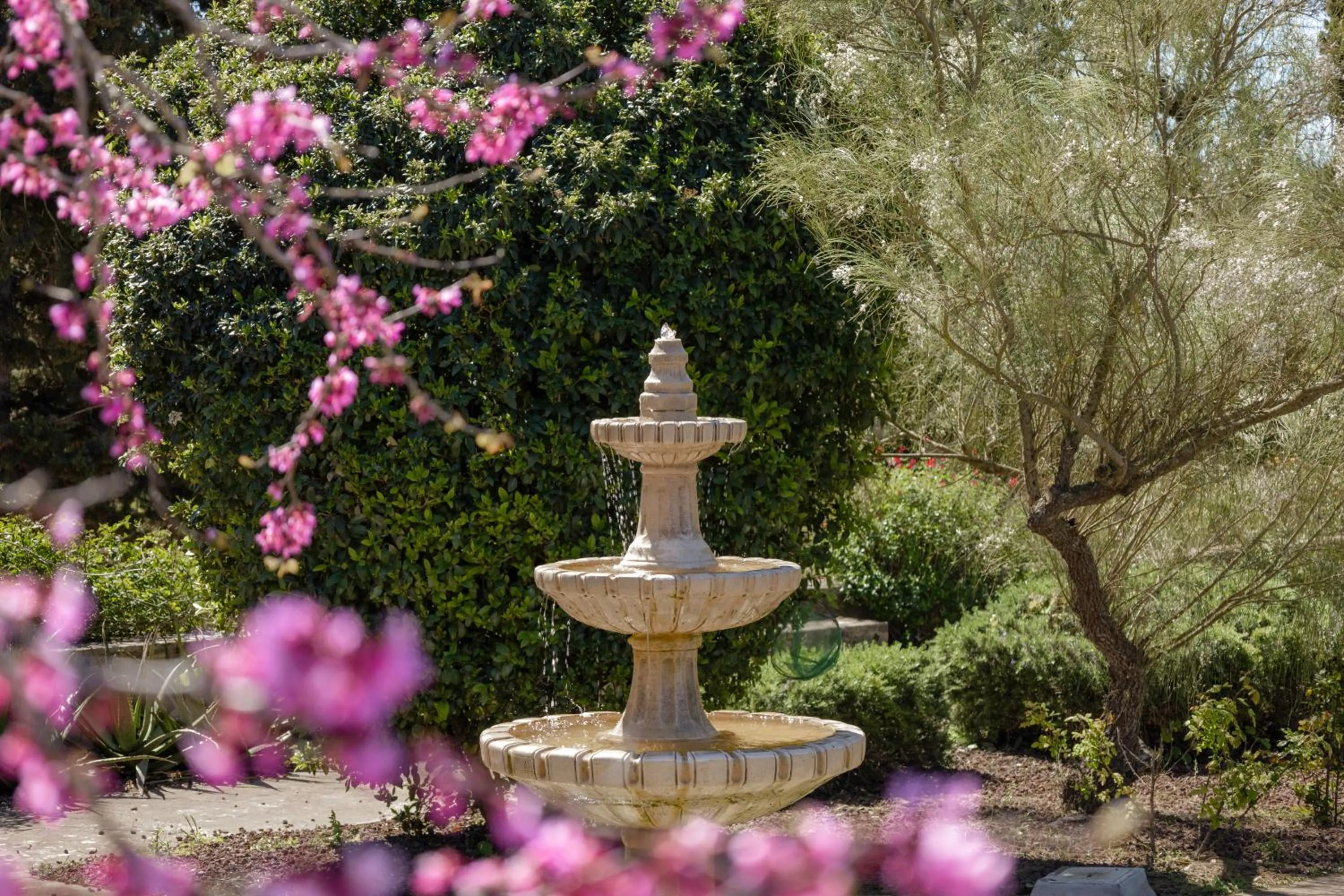 View (from property/room) in Finca Sa Bastida Luxury Retreat & Spa Adults Only - Over 14