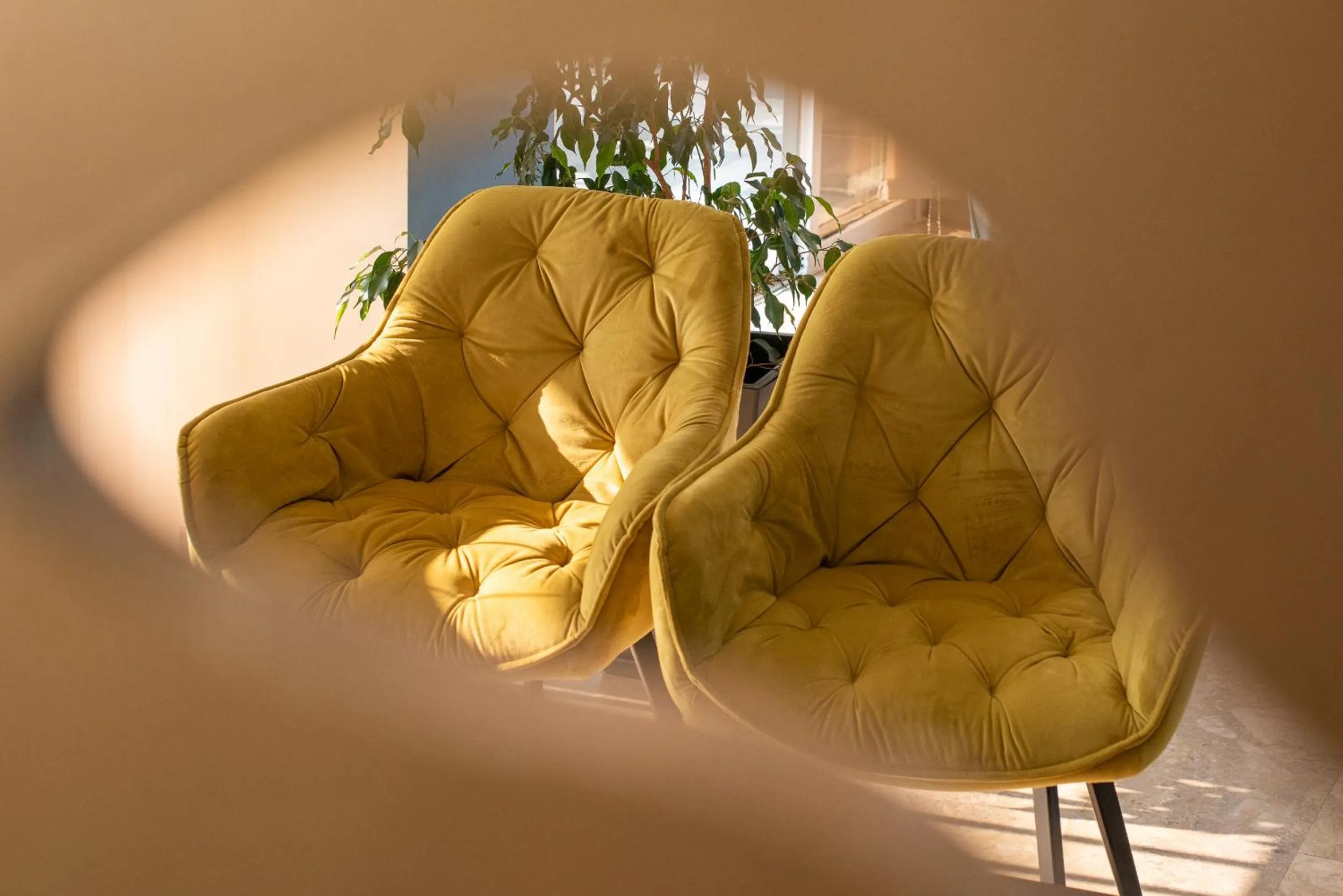 Living room in Alyssium