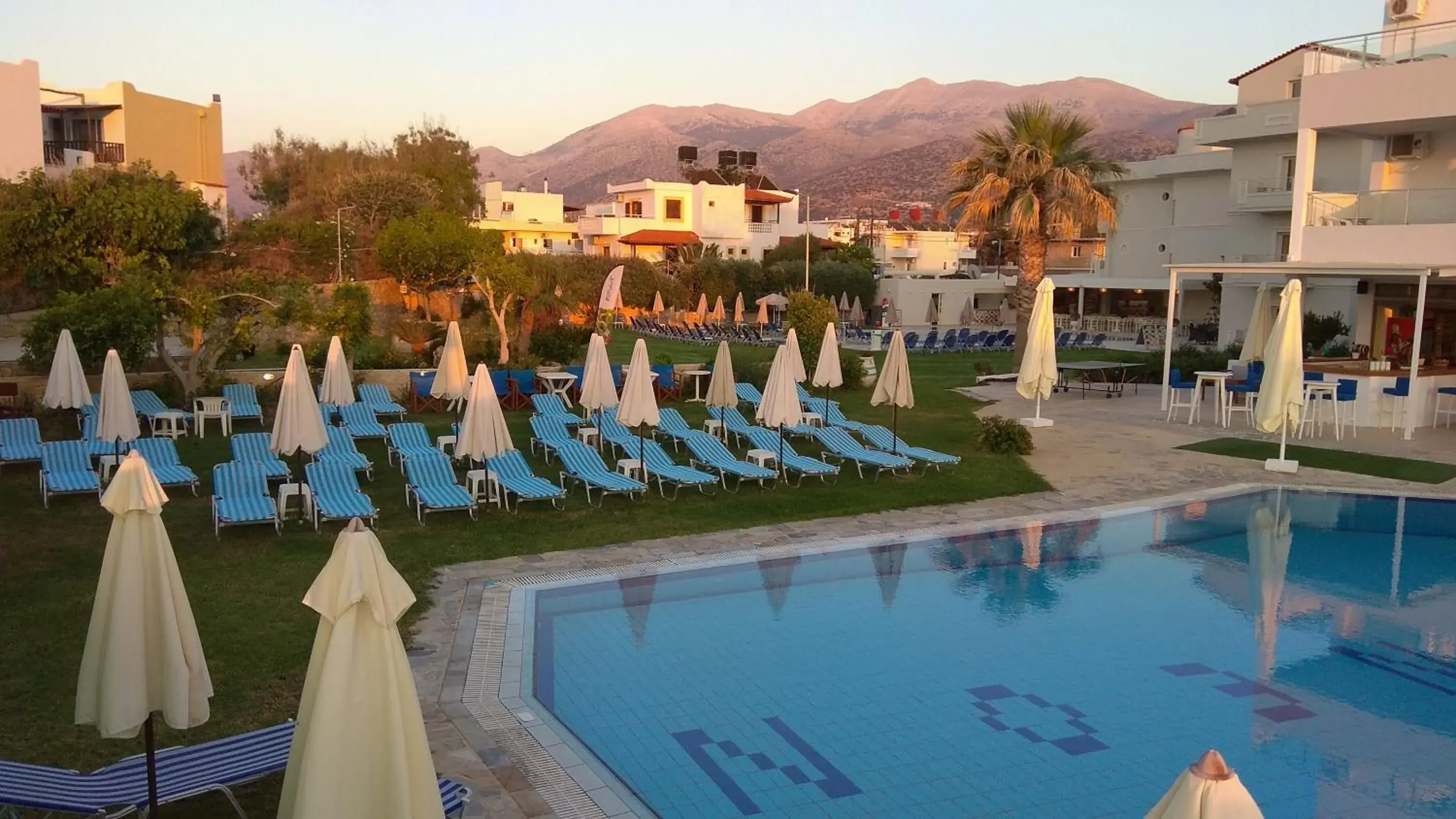 Garden in Neon Hotel Garden in Neon Hotel