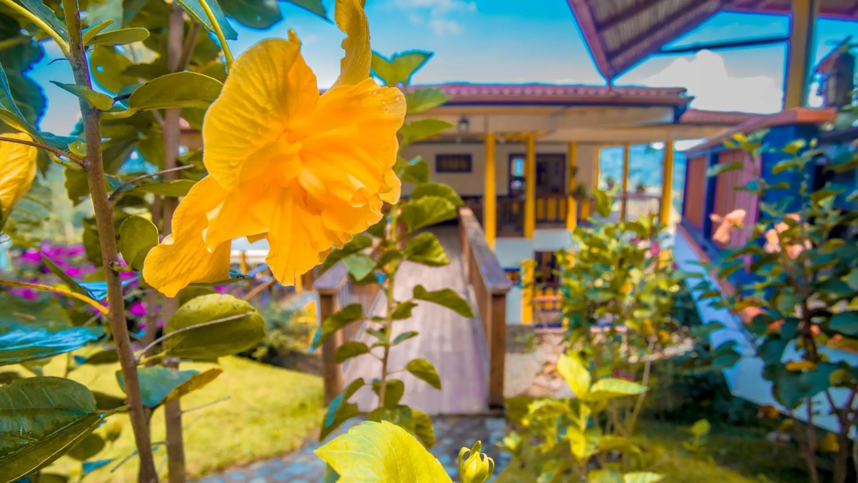 Garden in Hotel Hacienda San Isidro