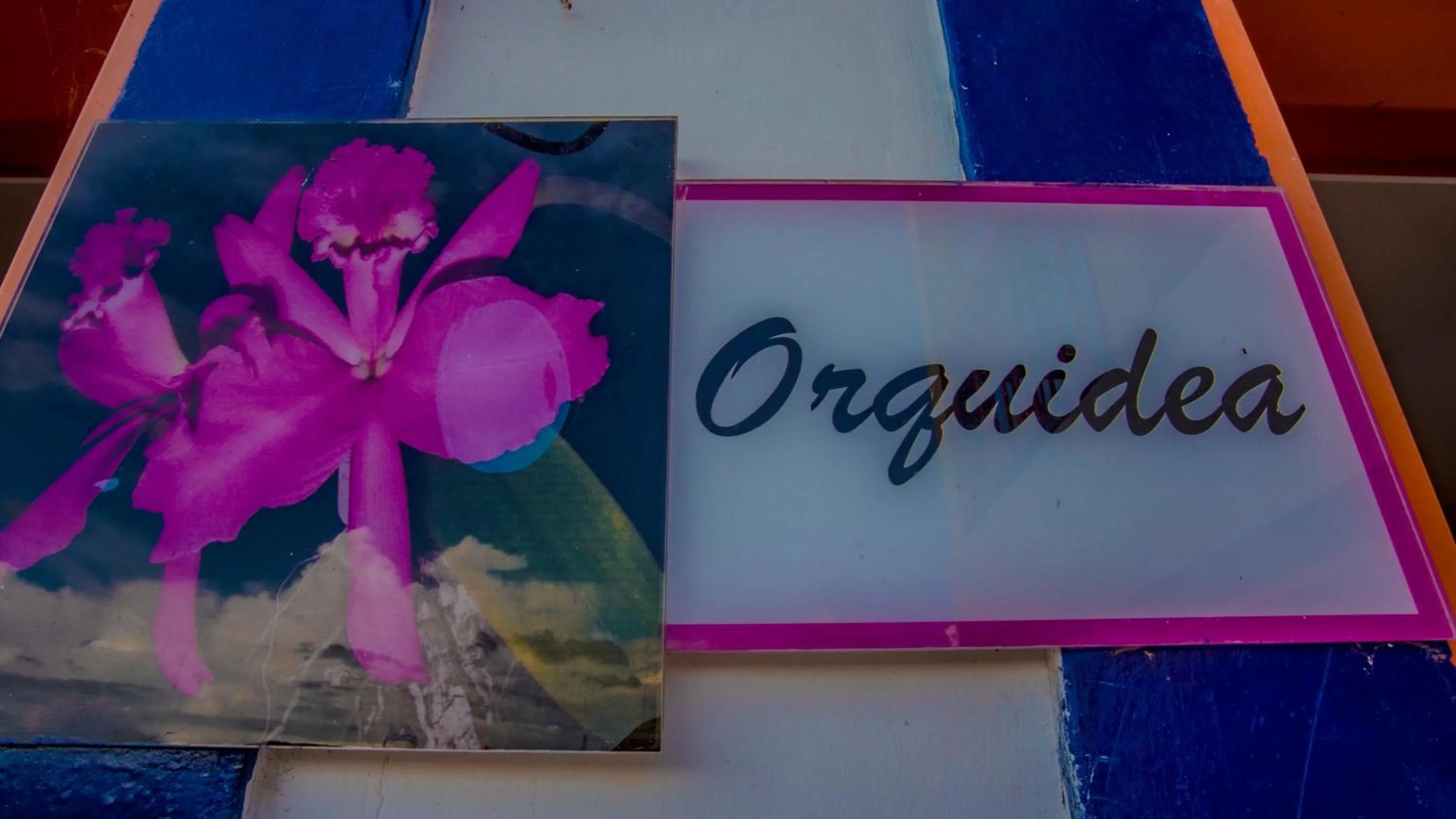 Spring in Hotel Hacienda San Isidro