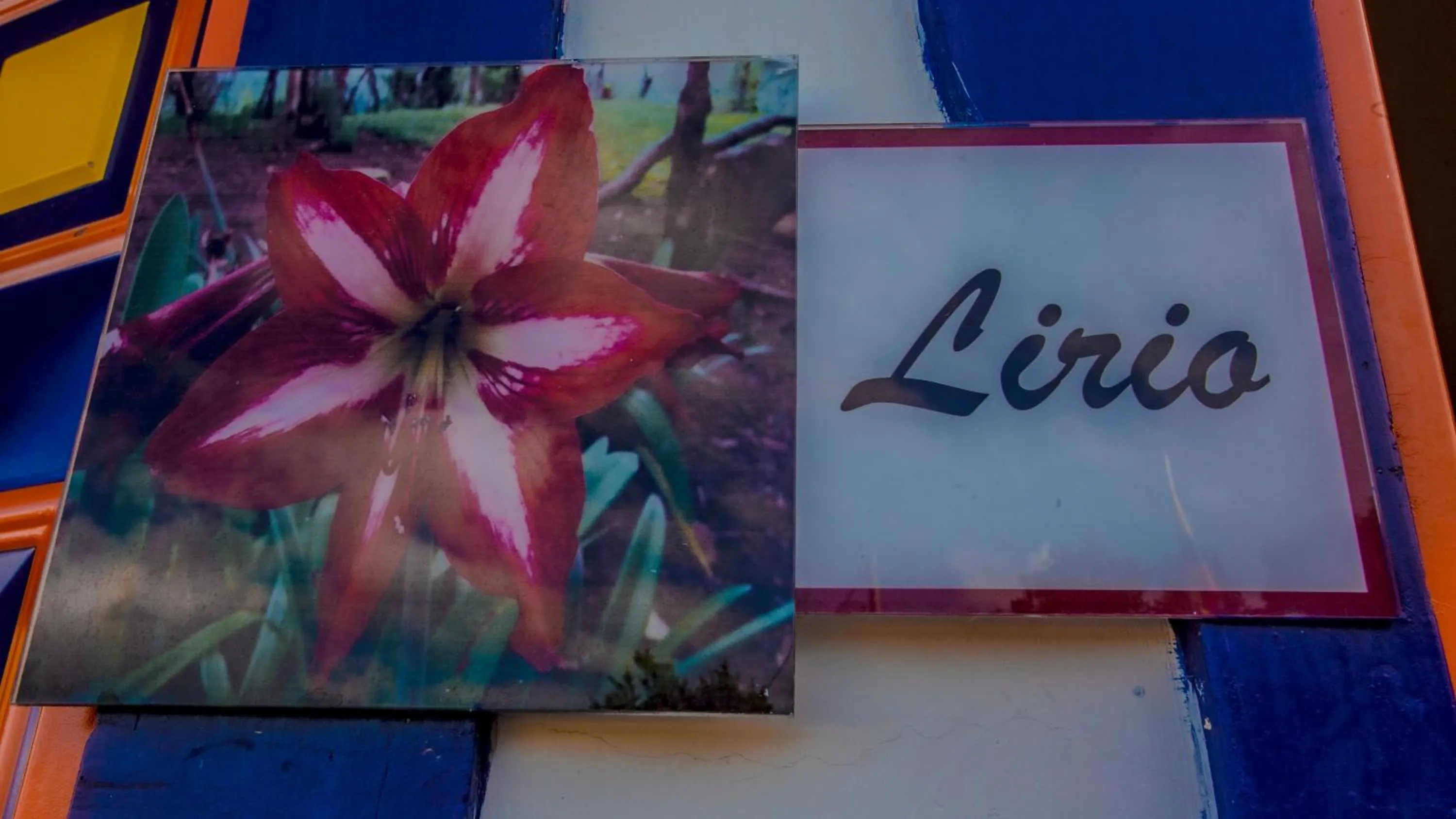 Spring in Hotel Hacienda San Isidro