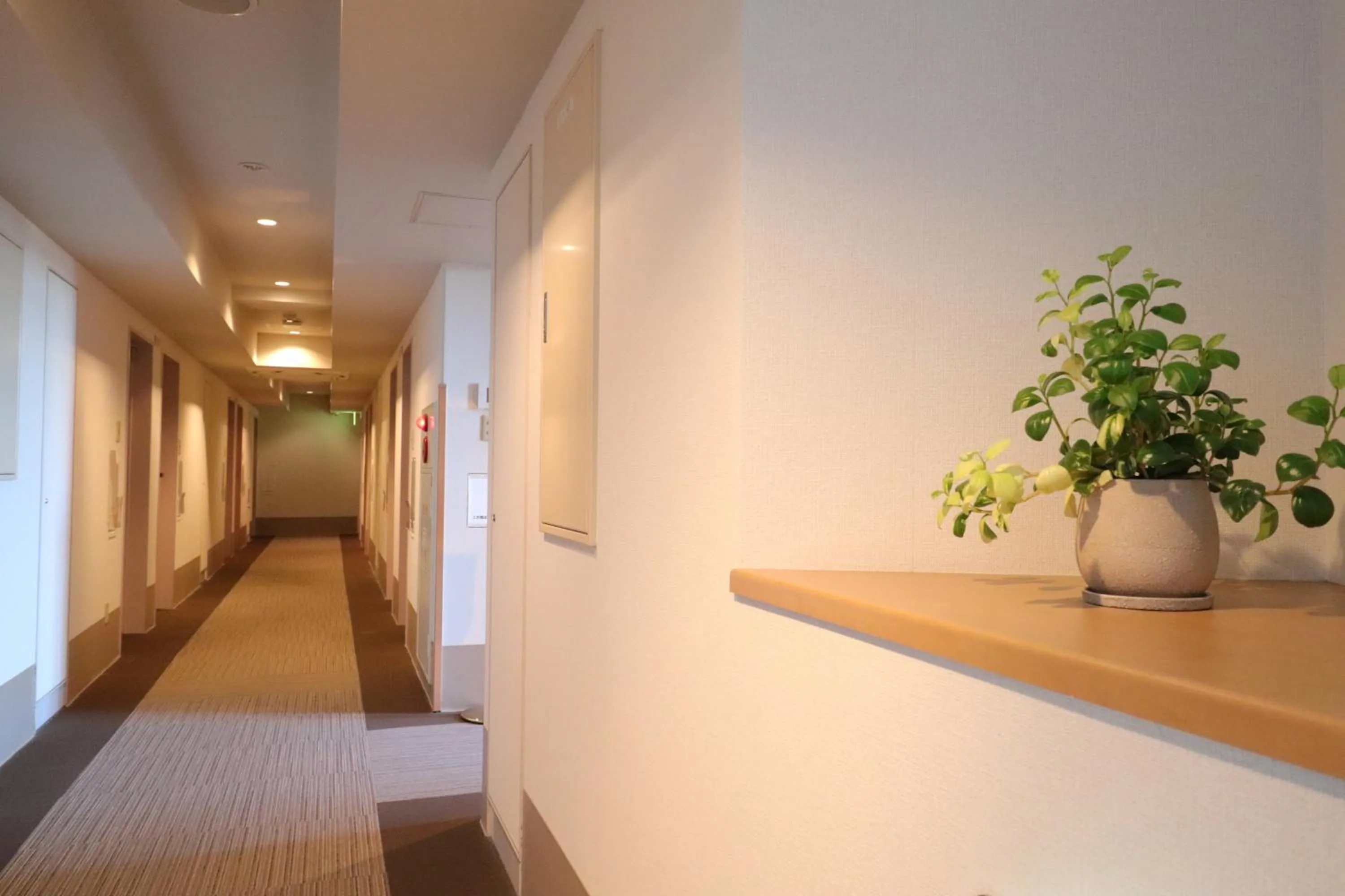 Decorative detail in Silk Hotel Annex