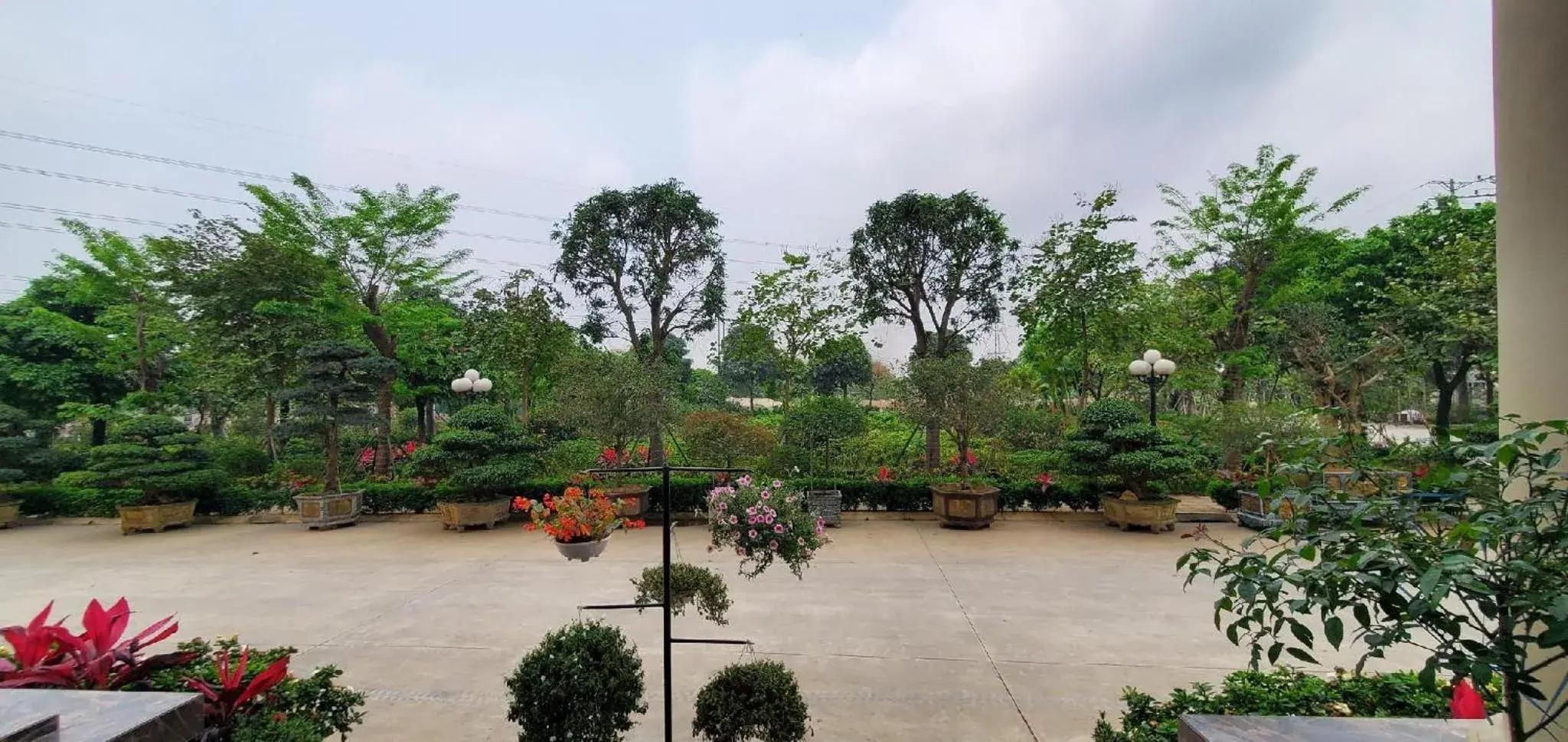 Garden view in Quynh Trang Hung Yen Hotel Garden view in Quynh Trang Hung Yen Hotel
